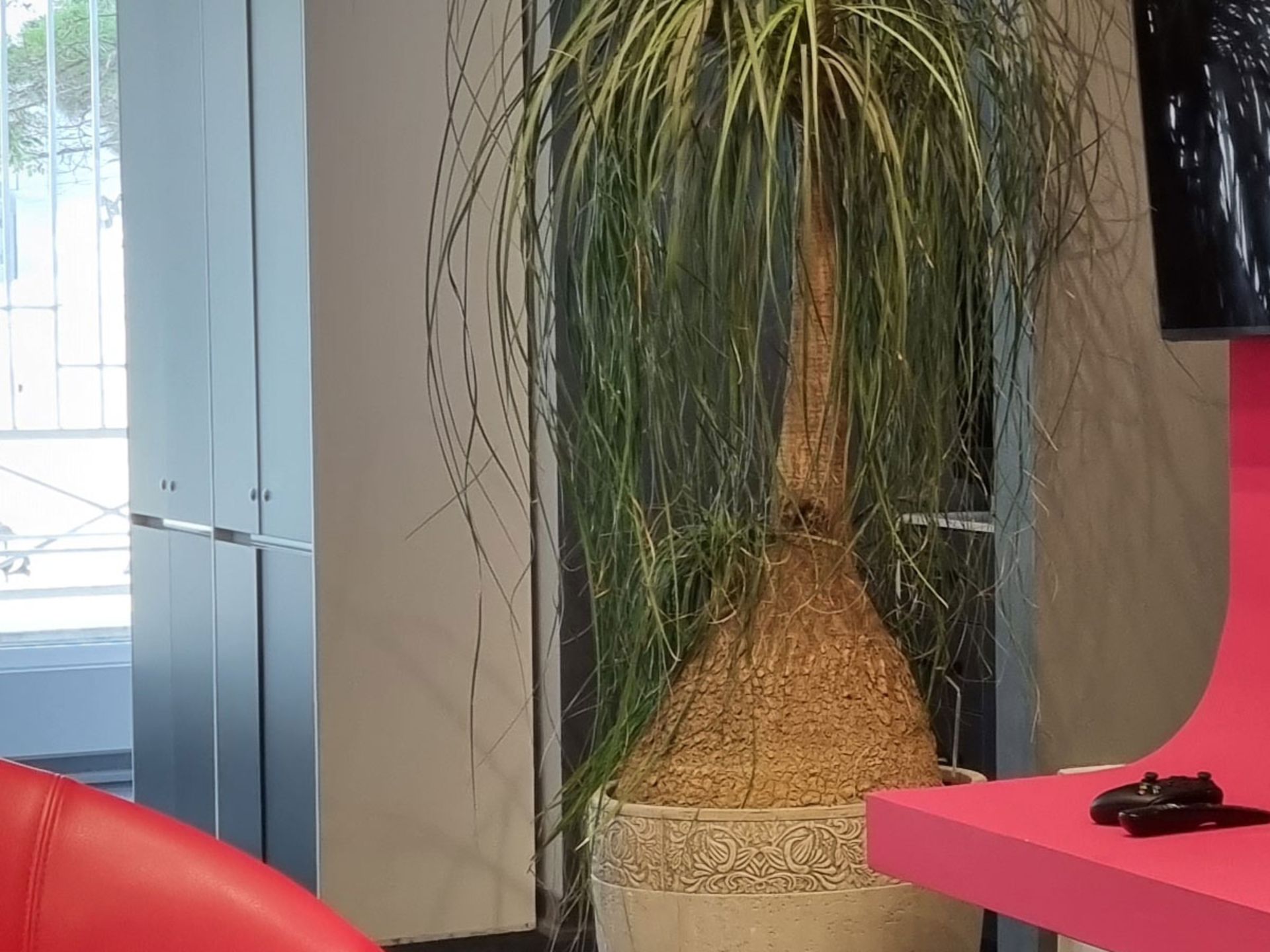 گستره دینامیکی عکس دوربین اصلی گلکسی S21 FE