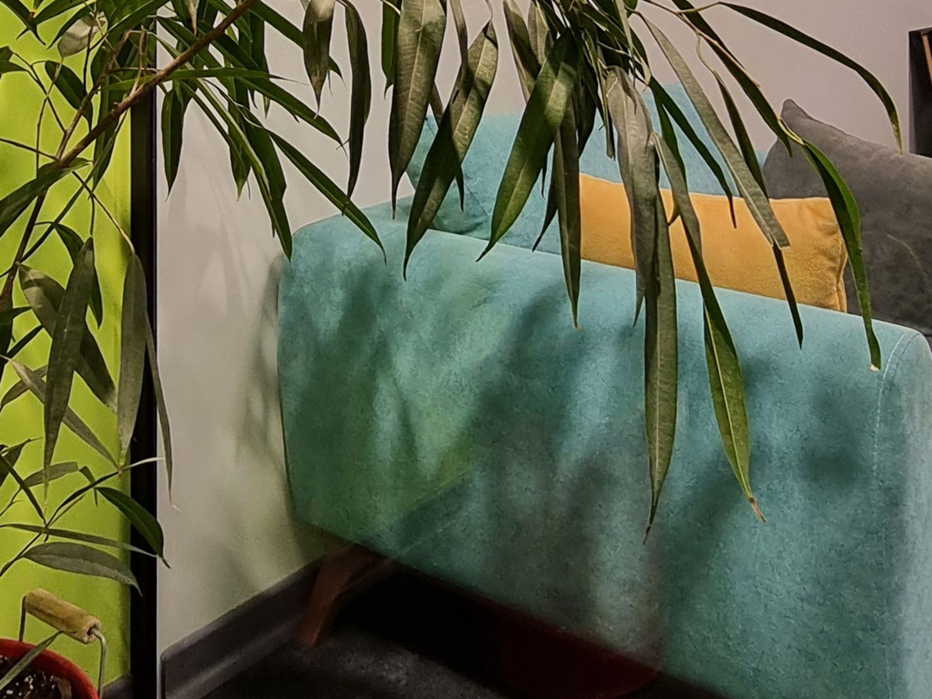 رنگ‌ها و گستره دینامیکی در عکس دوربین اولتراواید گلکسی S21 FE