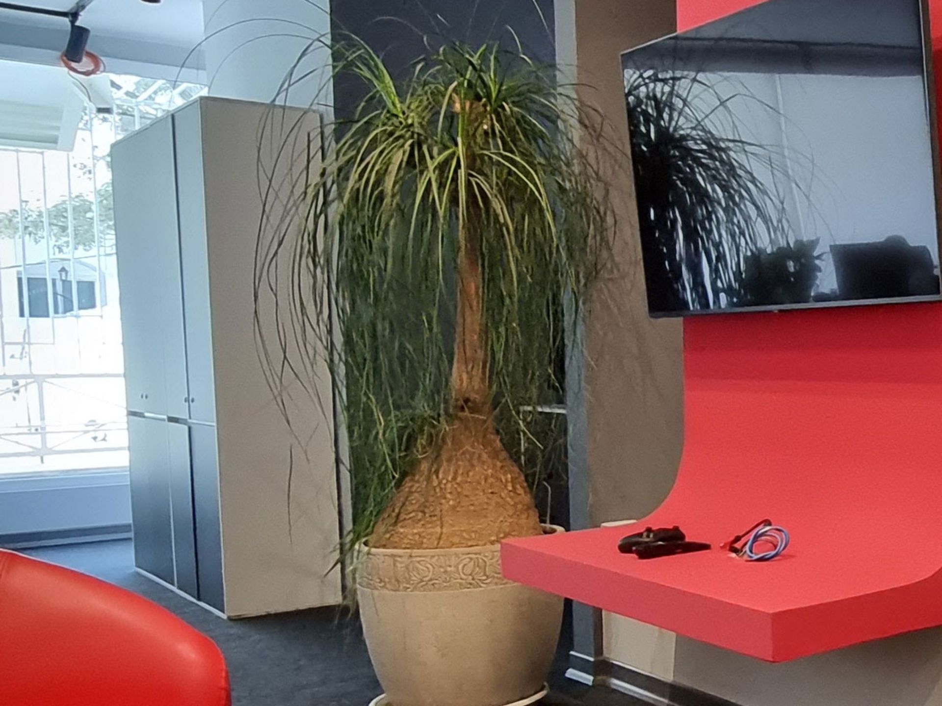 گستره دینامیکی در برش عکس اولتراواید گلکسی S21 FE