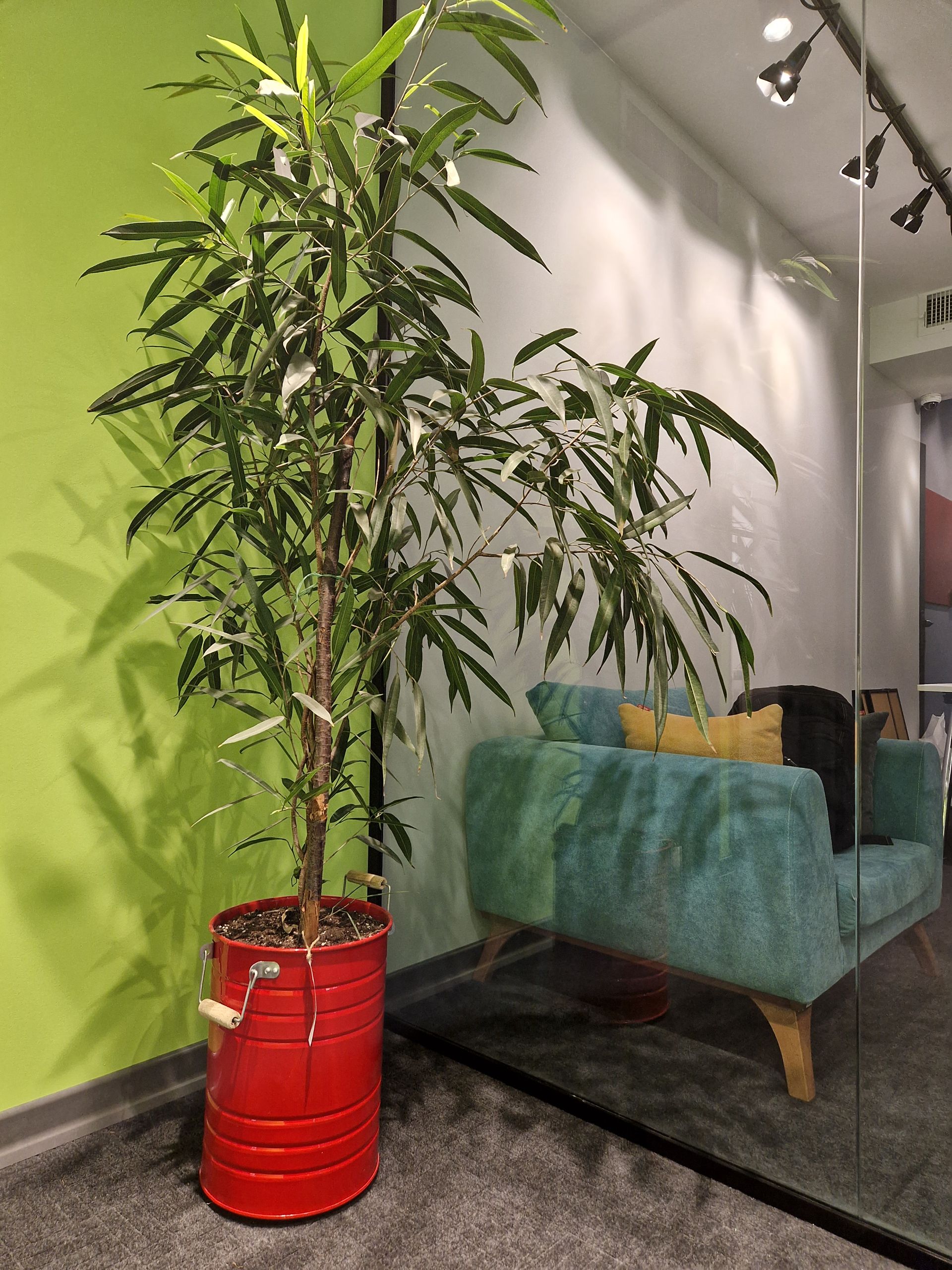 عکس گلکسی اس ۲۲ - ۲