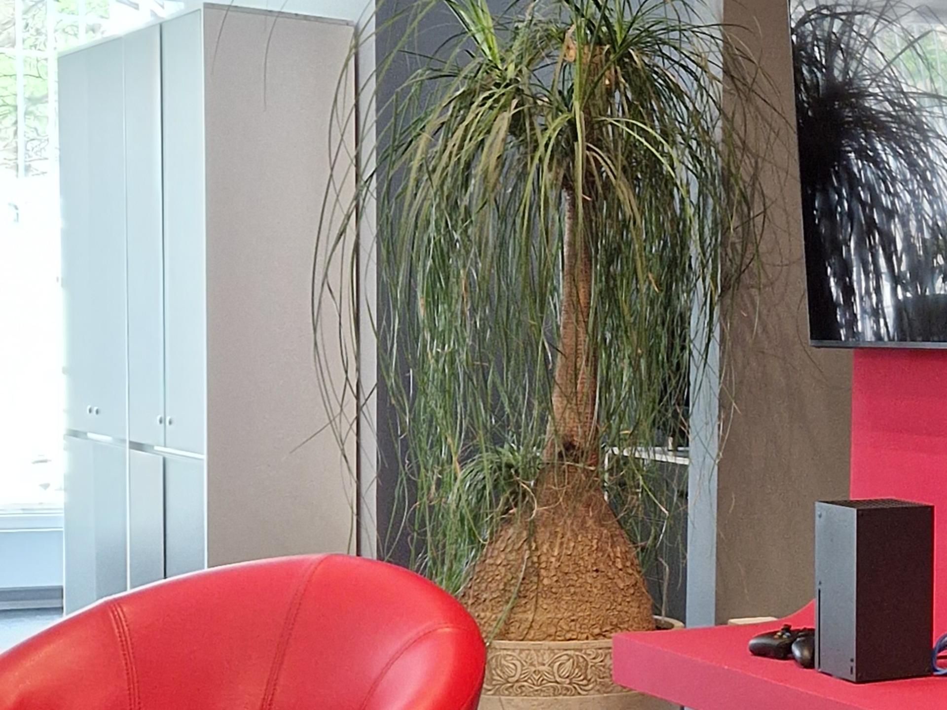 کراپ عکس گلکسی اس ۲۲