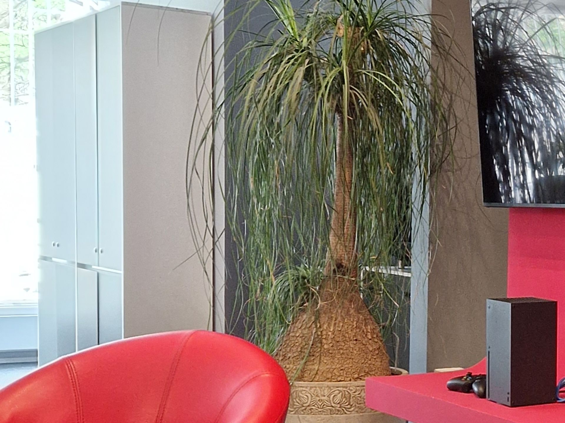 کراپ عکس گلکسی اس ۲۲