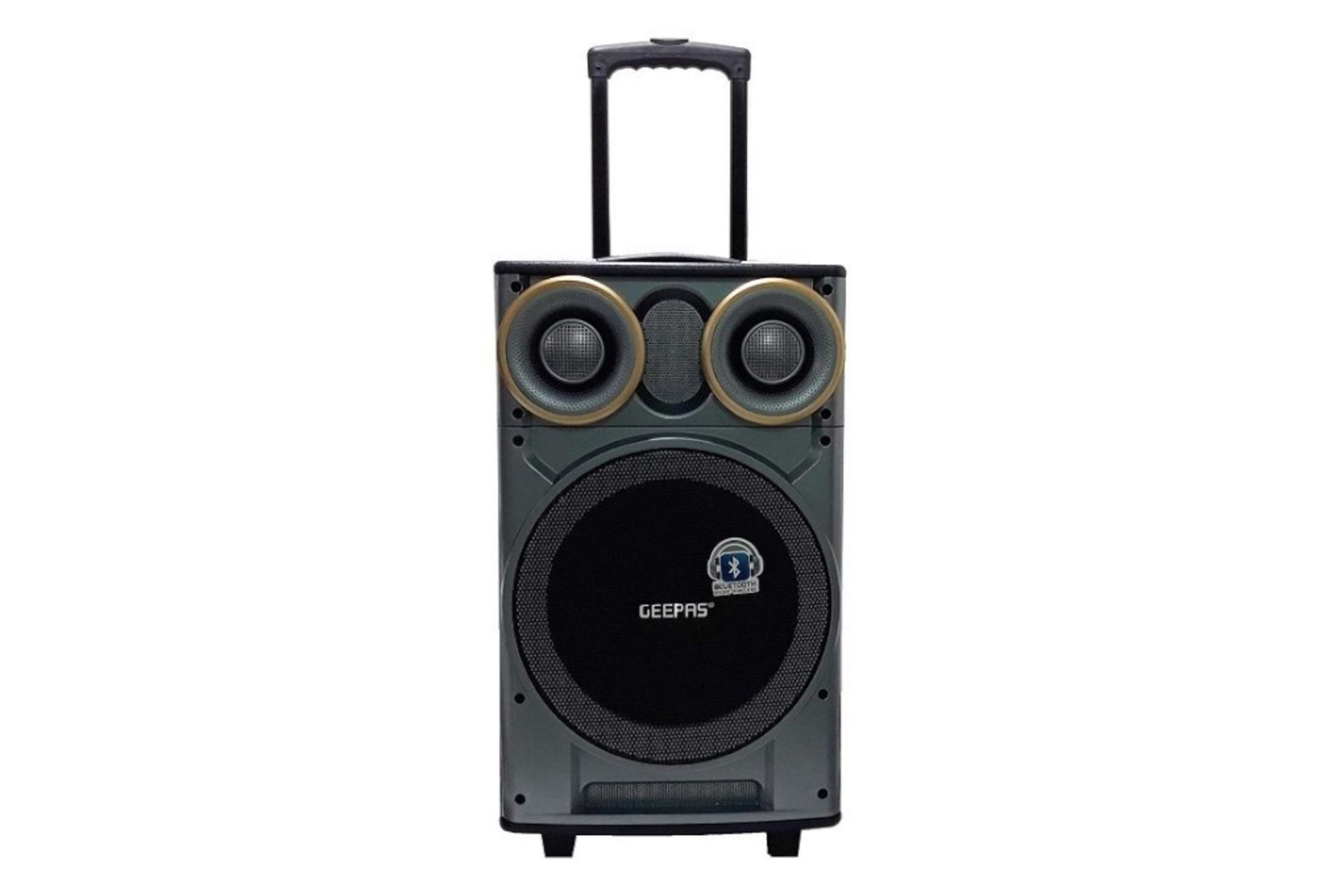 اسپیکر جی پاس GEEPAS GMS8533