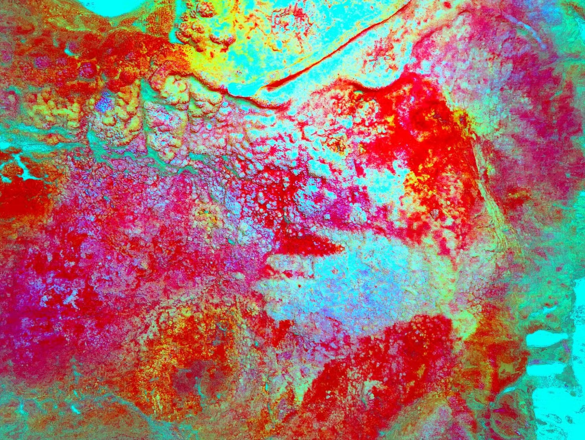 تصویر گرافیکی دست انسان