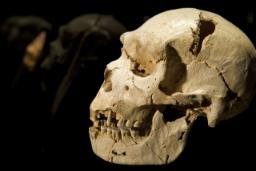 چگونه تغییرات اقلیمی مکرر باستانی به تکامل انسان کمک کرد؟