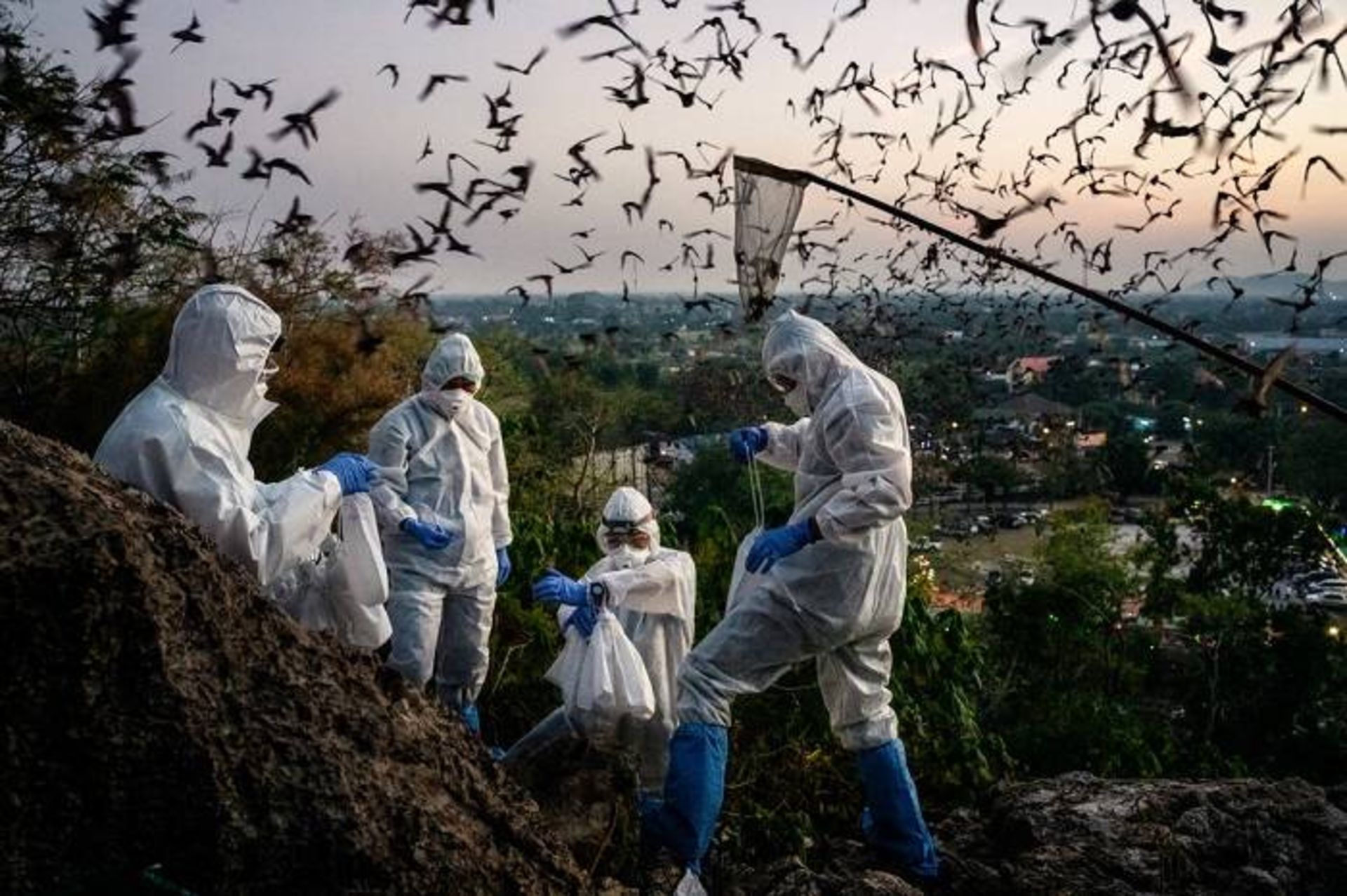 پژوهشگران / researcher