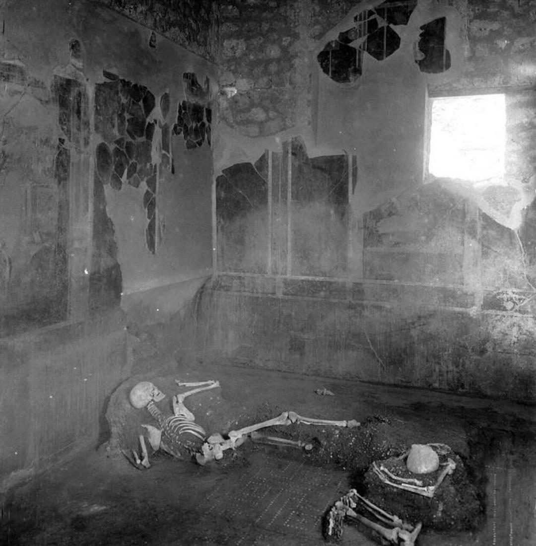 اسکلت های پمپئی / skeletons in Casa del Fabbro