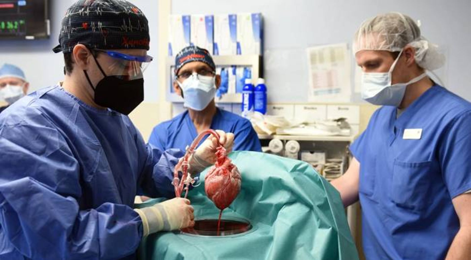 جراحان دانشگاه مریلند / Surgeons 