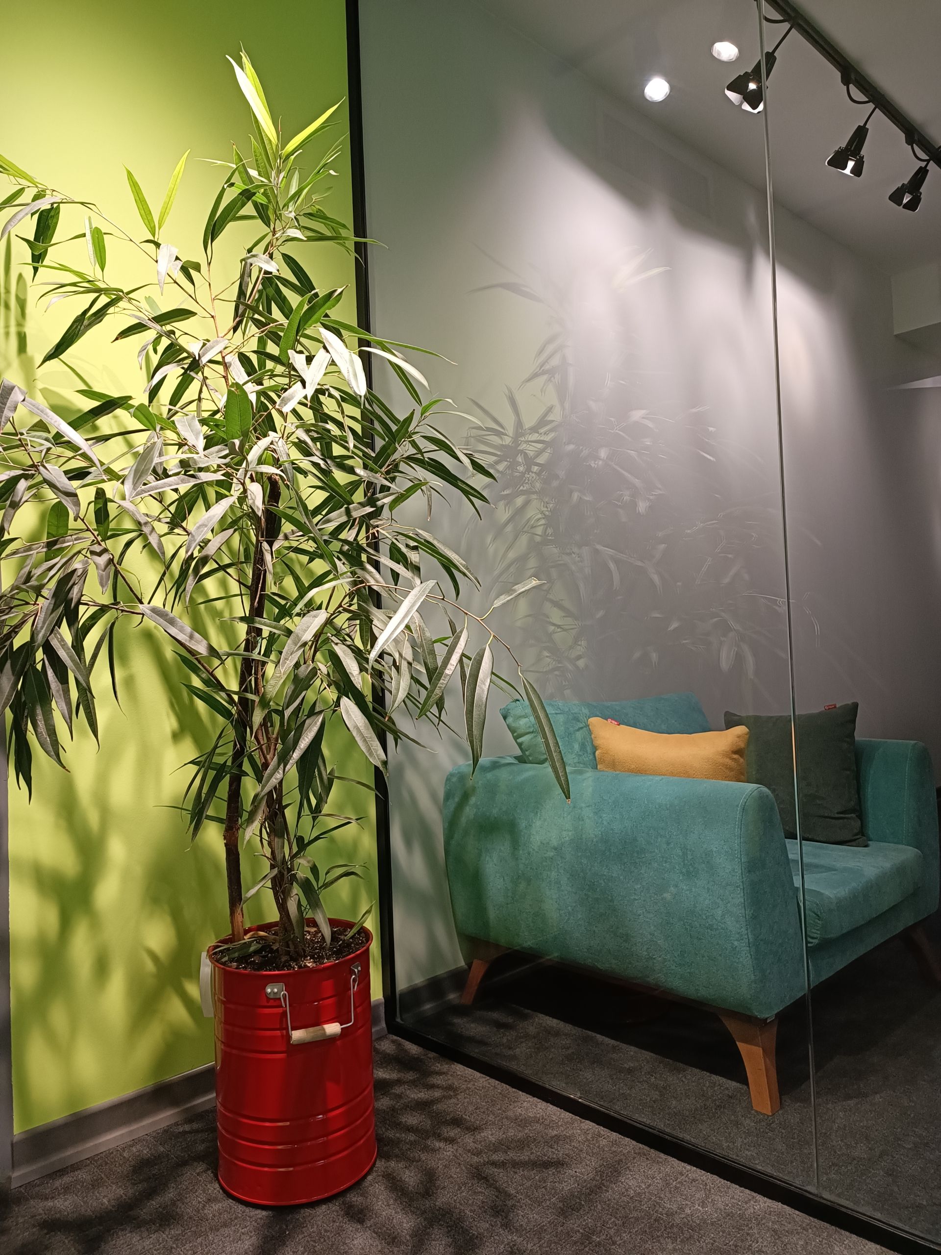 عکس دوربین شیائومی ۱۱تی