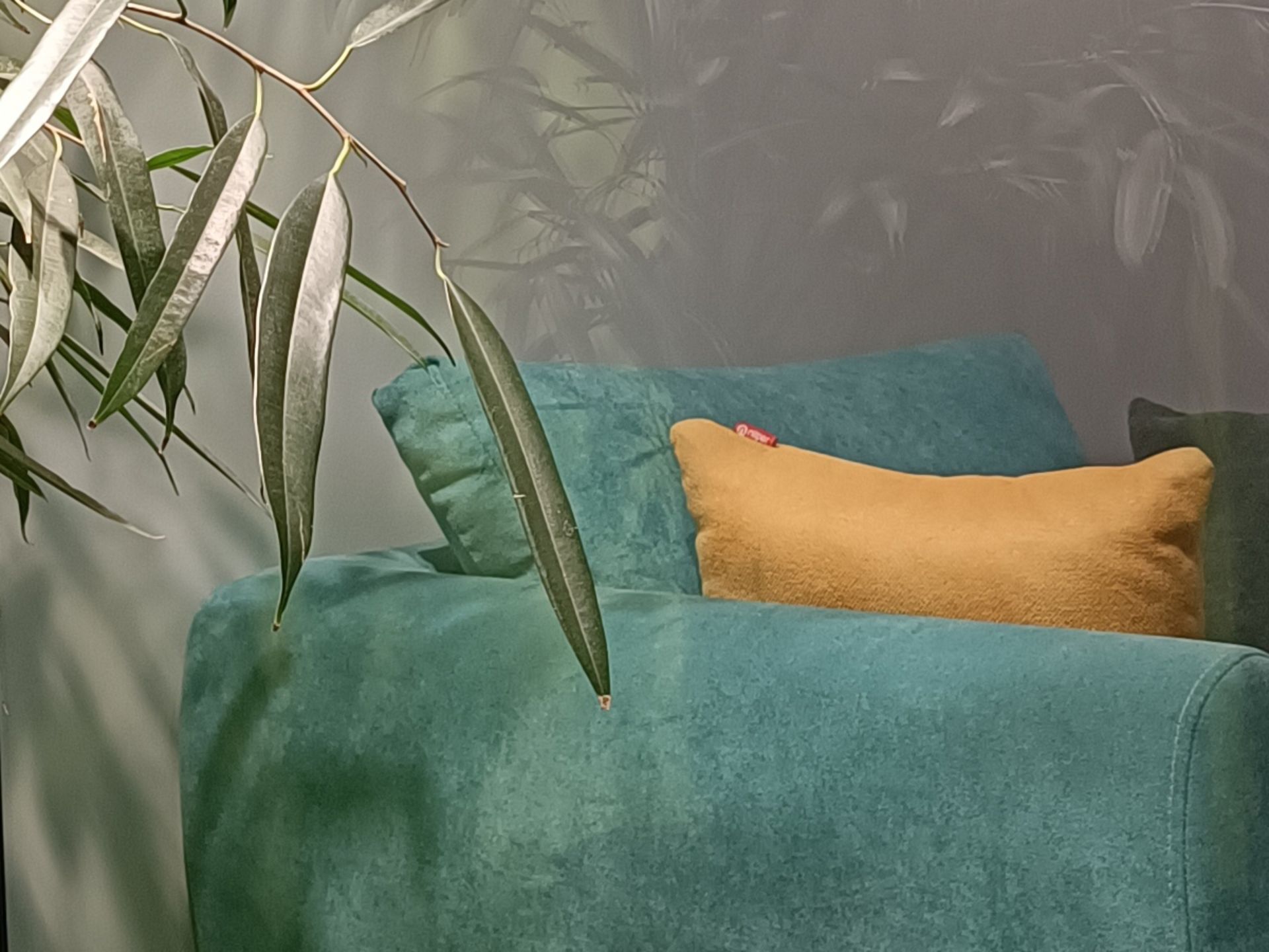 کراپ عکس دوربین شیائومی ۱۱تی