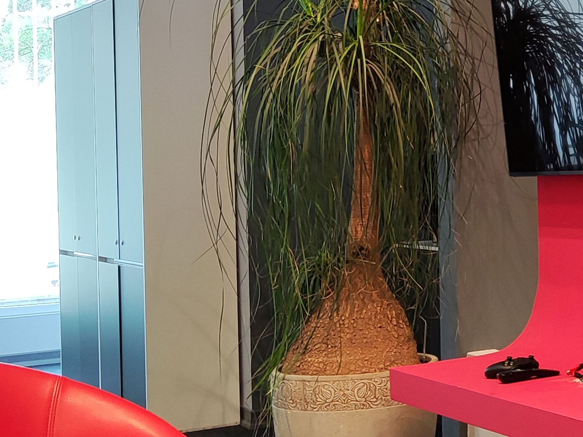 گستره دینامیکی عکس دوربین اصلی شیائومی 12X