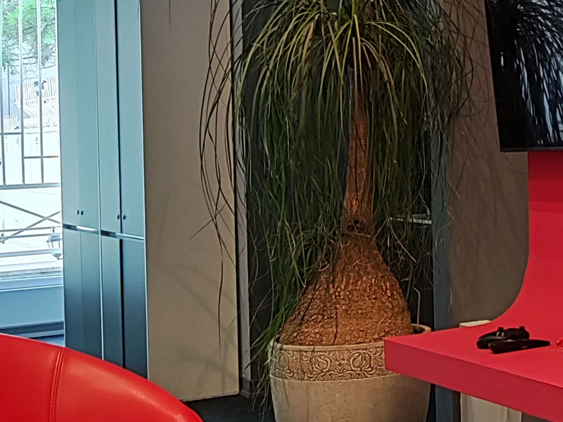 گستره دینامیکی عکس دوربین اصلی شیائومی 12X