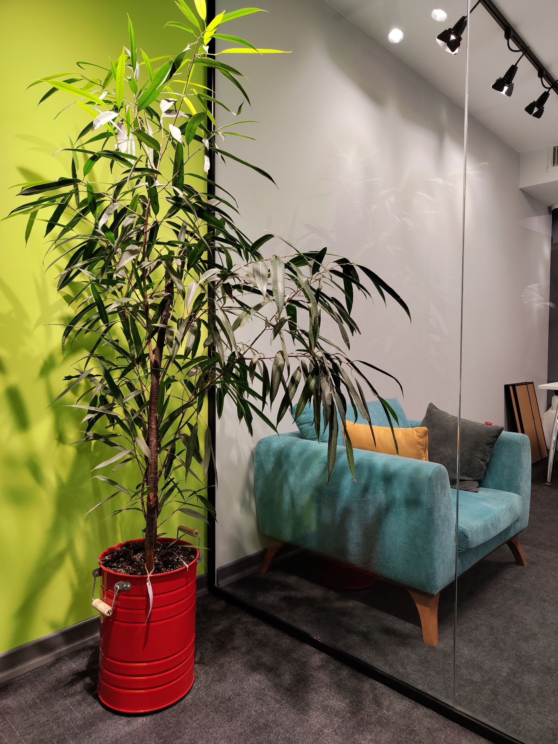 رنگ‌ها و گستره دینامیکی در عکس دوربین اصلی شیائومی 12X