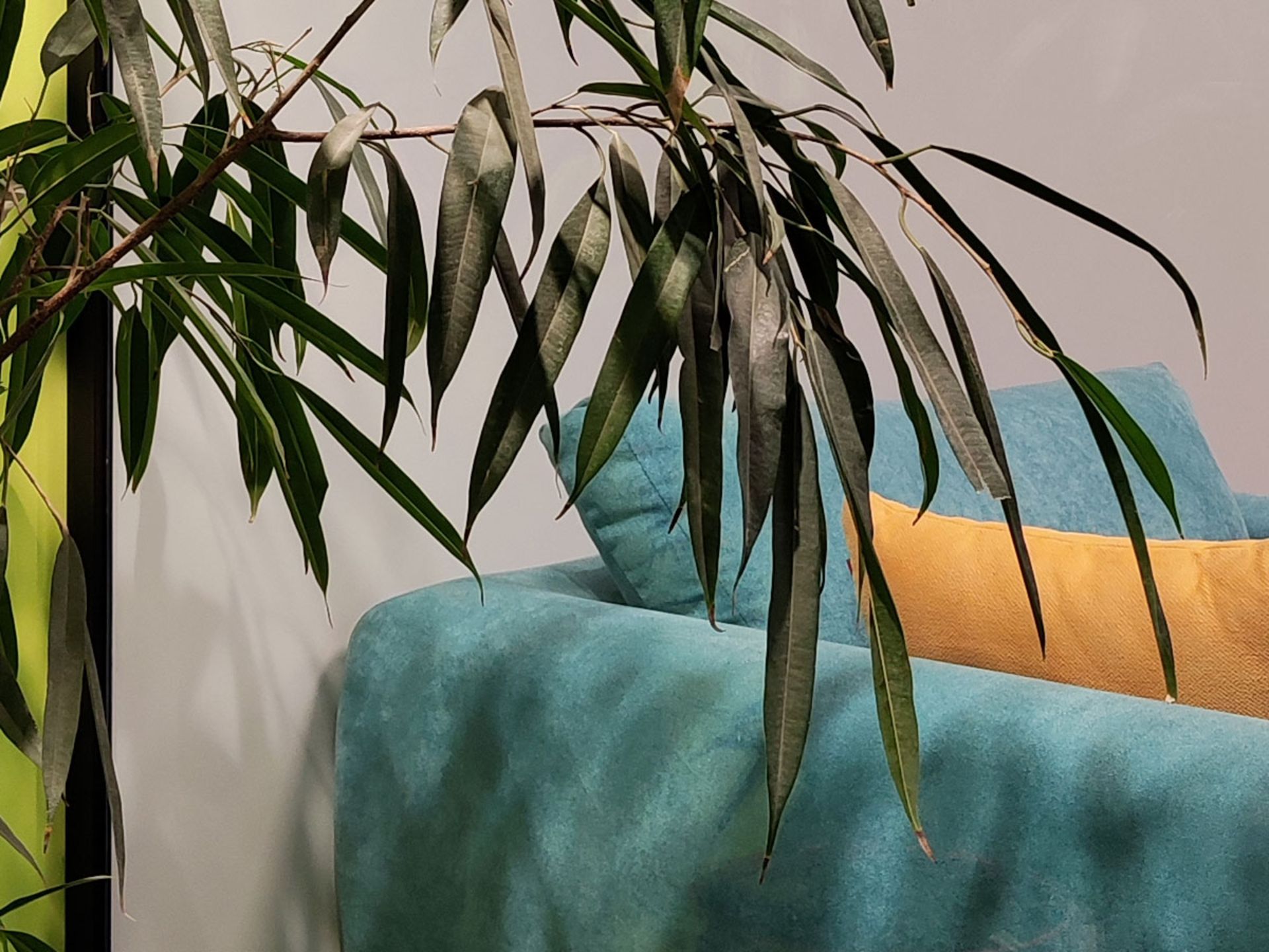 رنگ‌ها و گستره‌ی دینامیکی عکس دوربین اصلی شیائومی 12X