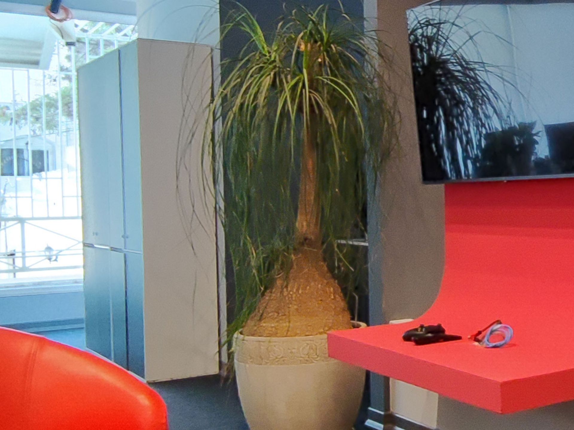 گستره دینامیکی در برش عکس اولتراواید شیائومی 12X