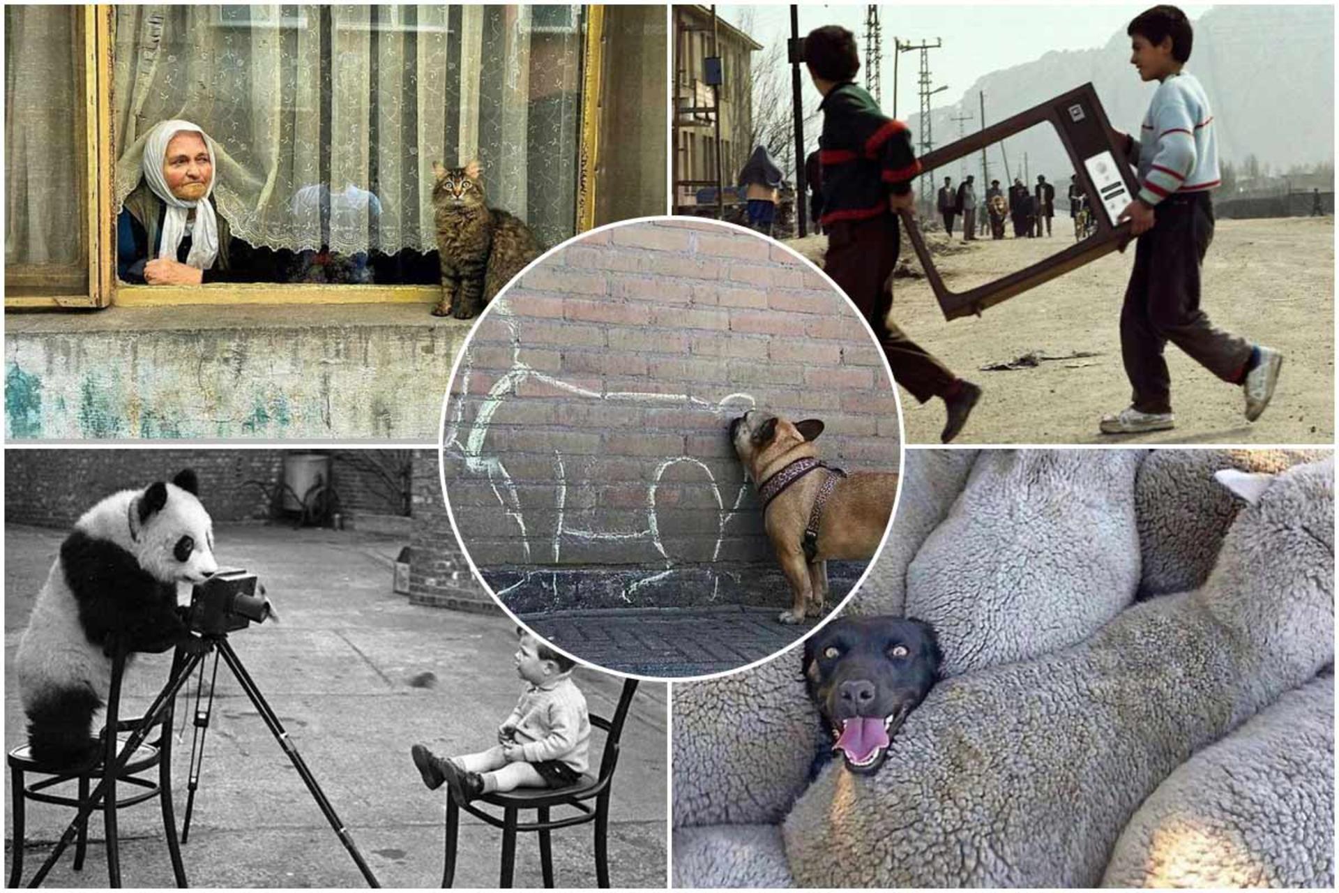 بنیاد عکاسان خیابانی؛ در ستایش عکس‌های خیابانی
