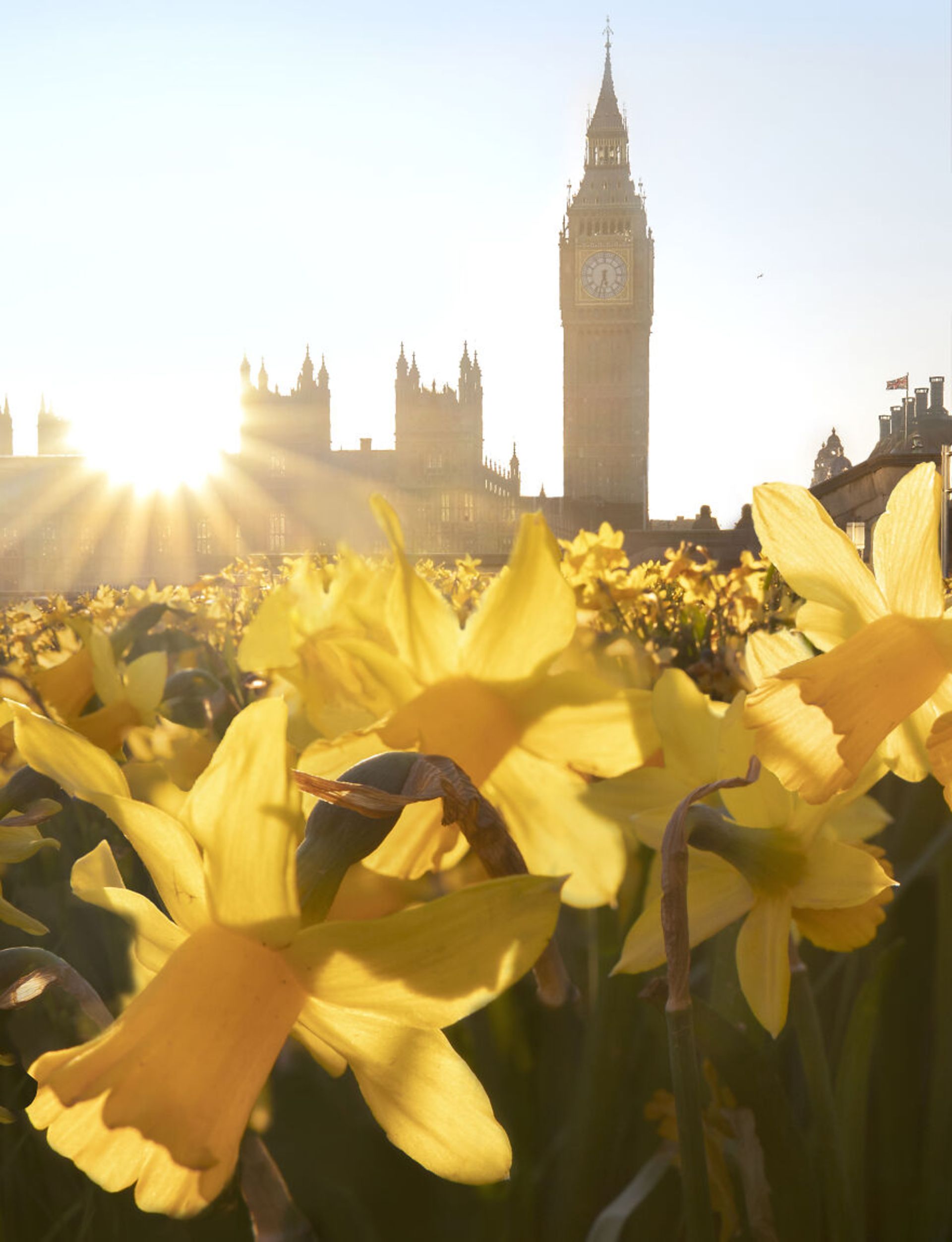 بهار در لندن