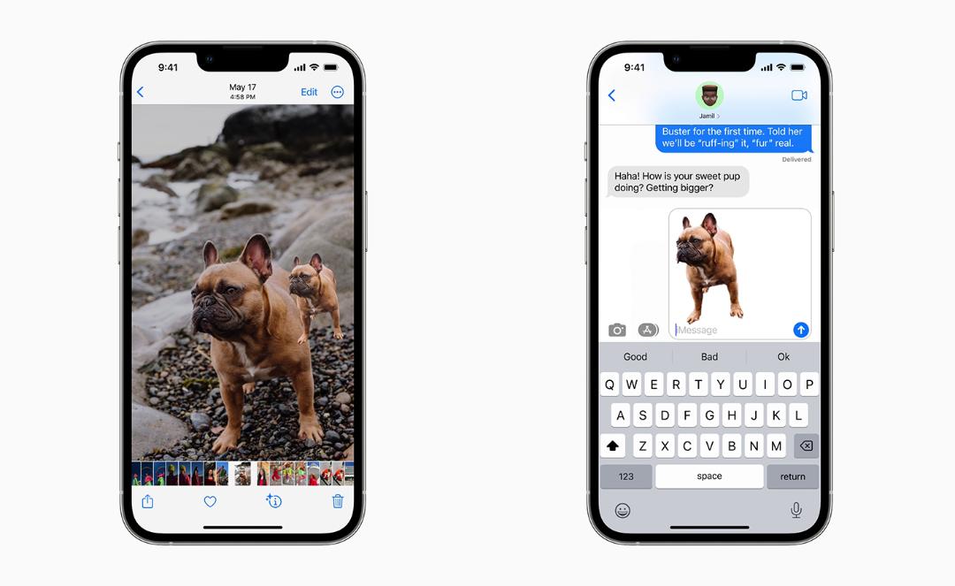 بهبود قابلیت Visual Look Up در iOS 16