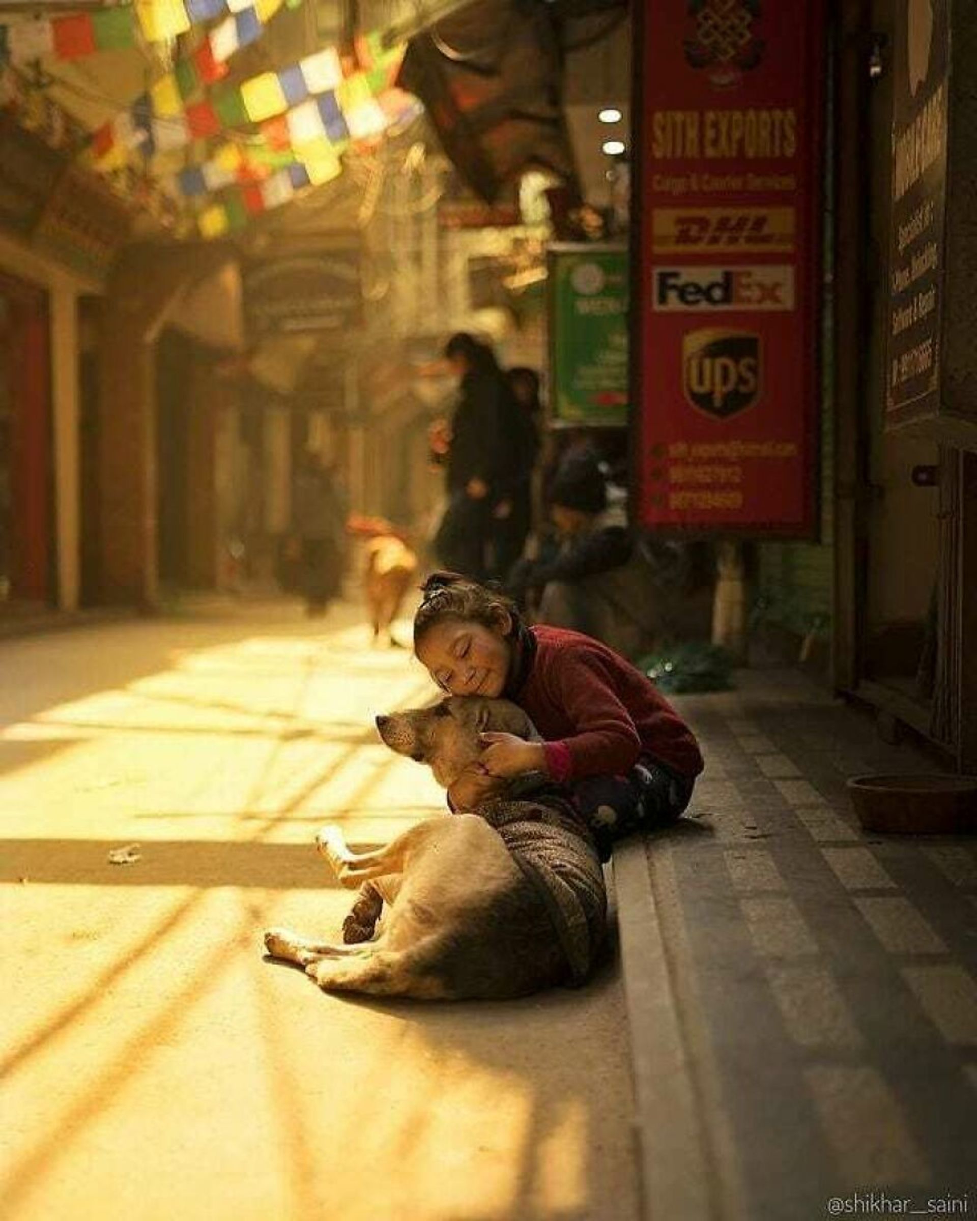 عکاسی خیابانی از حیوانات