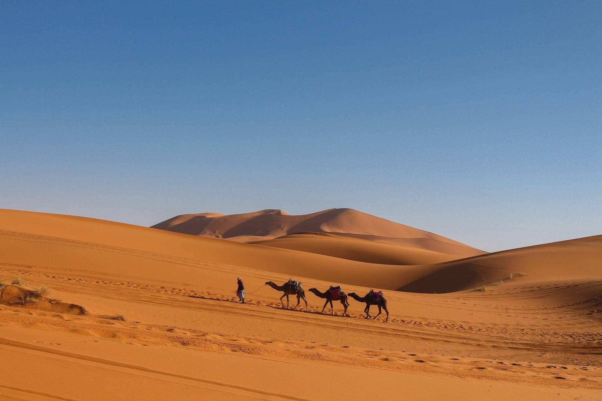 تغییرات اقلیمی بخش عمده آسیای مرکزی را به بیابان تبدیل می‌کند