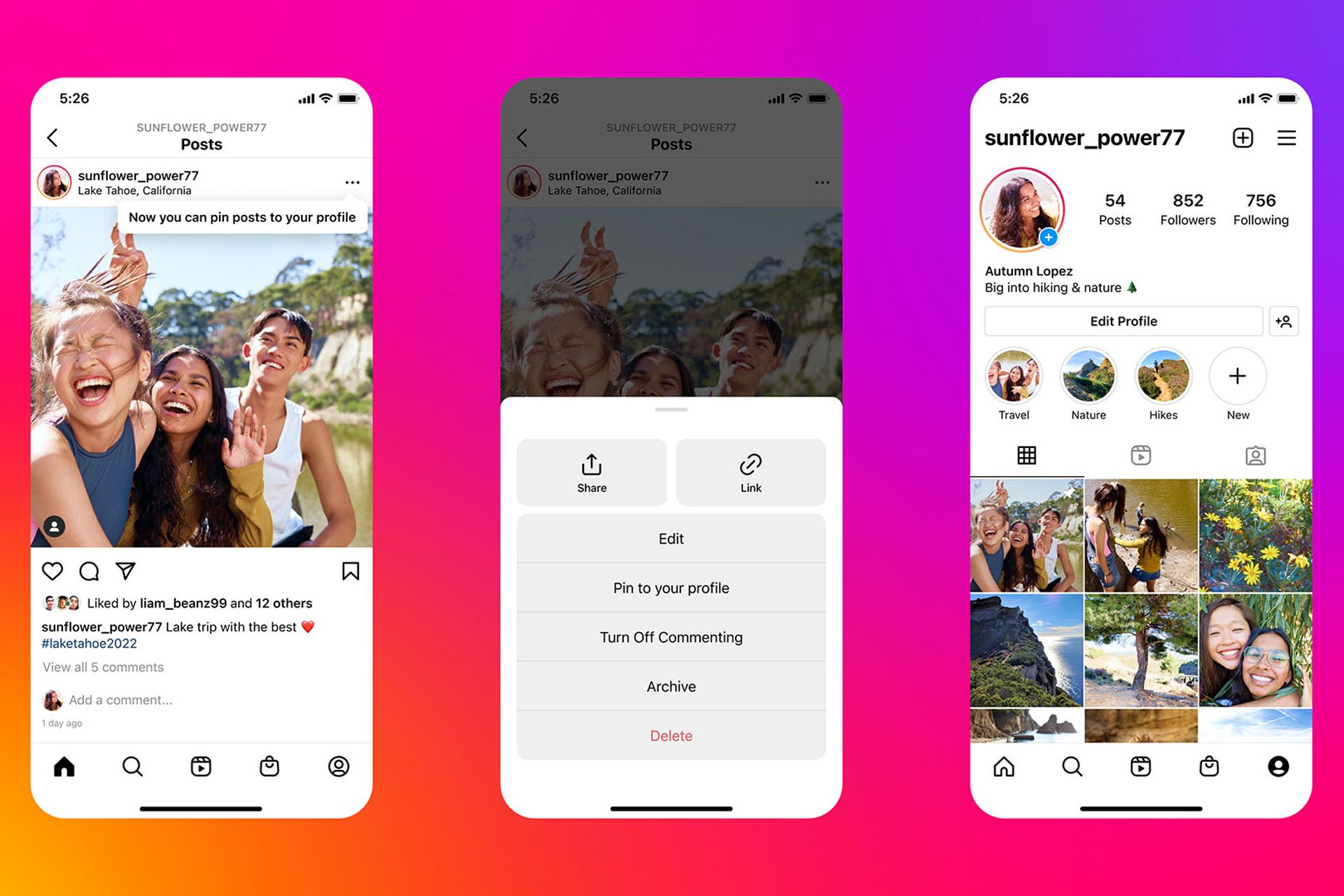 اسکرین شات قابلیت پین کردن پست در اینستاگرام / Instagram