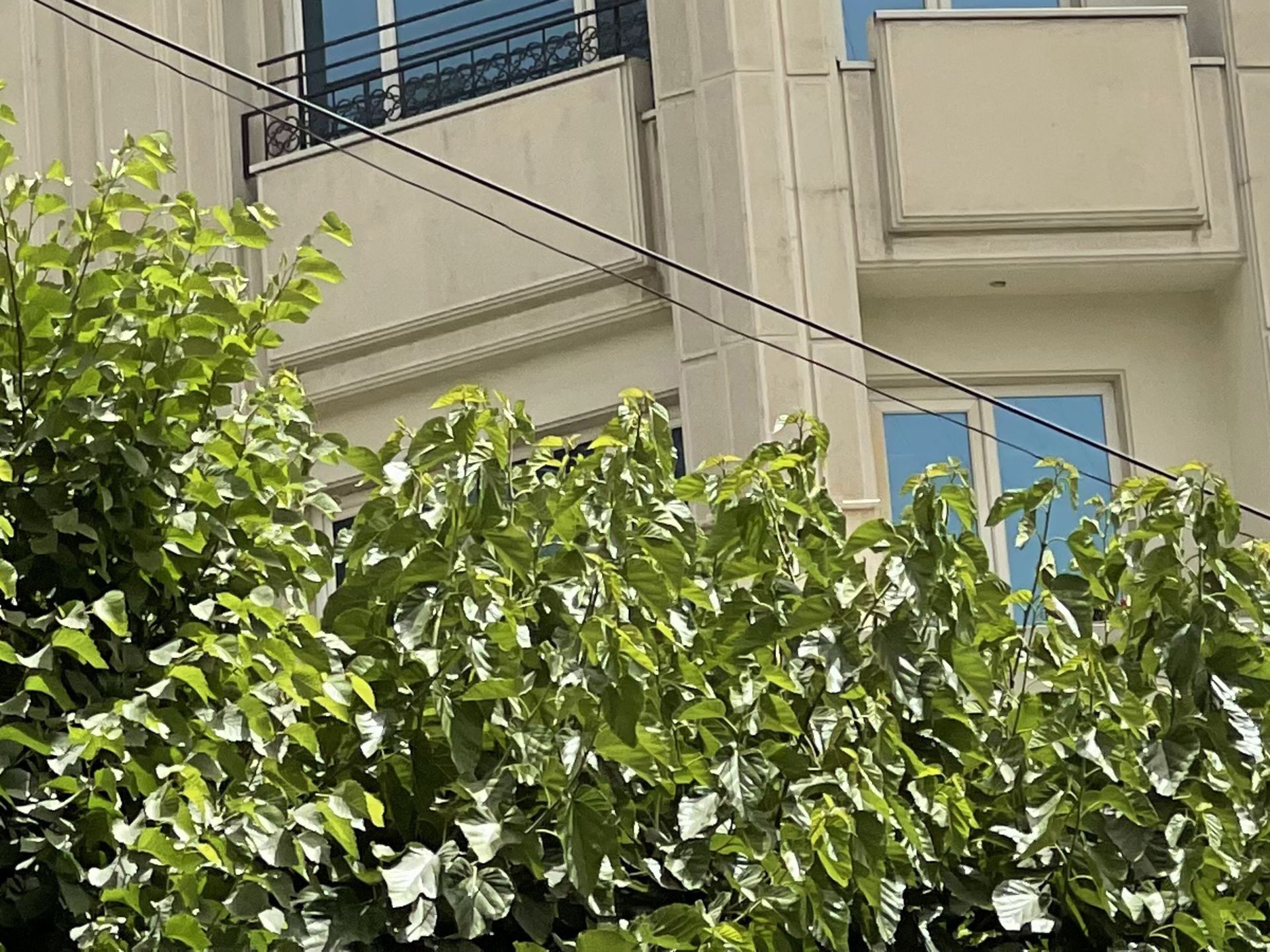 کراپ عکس دوربین تله‌فوتو آیفون ۱۲ پرو مکس