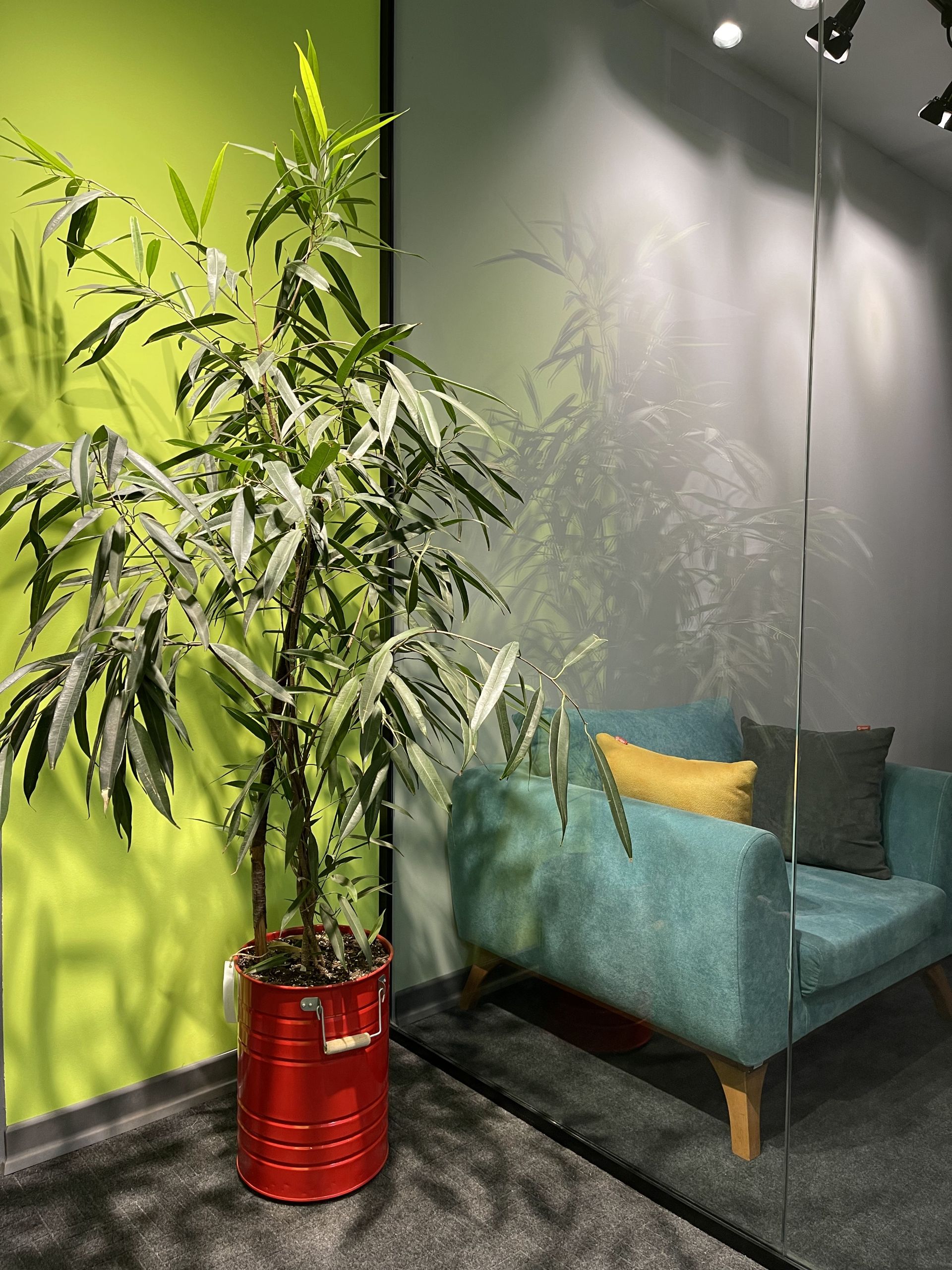 عکس دوربین اصلی آیفون ۱۲ پرو مکس