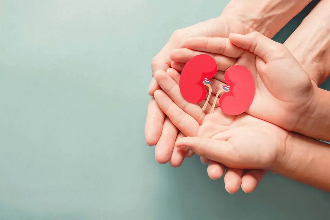 اهدای کلیه / kidney