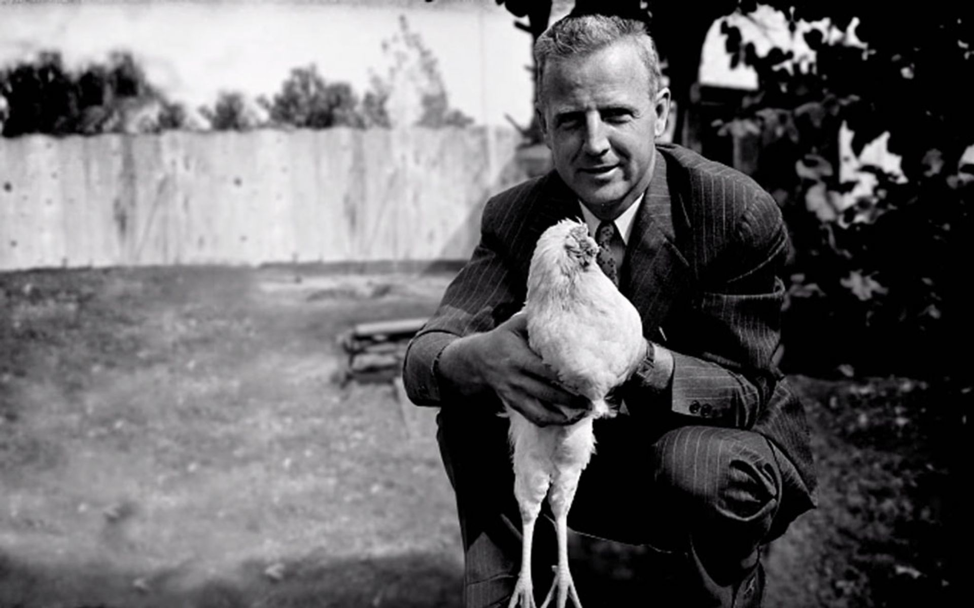 هوپ وید در کنار مایک‌، خروس بدون سر