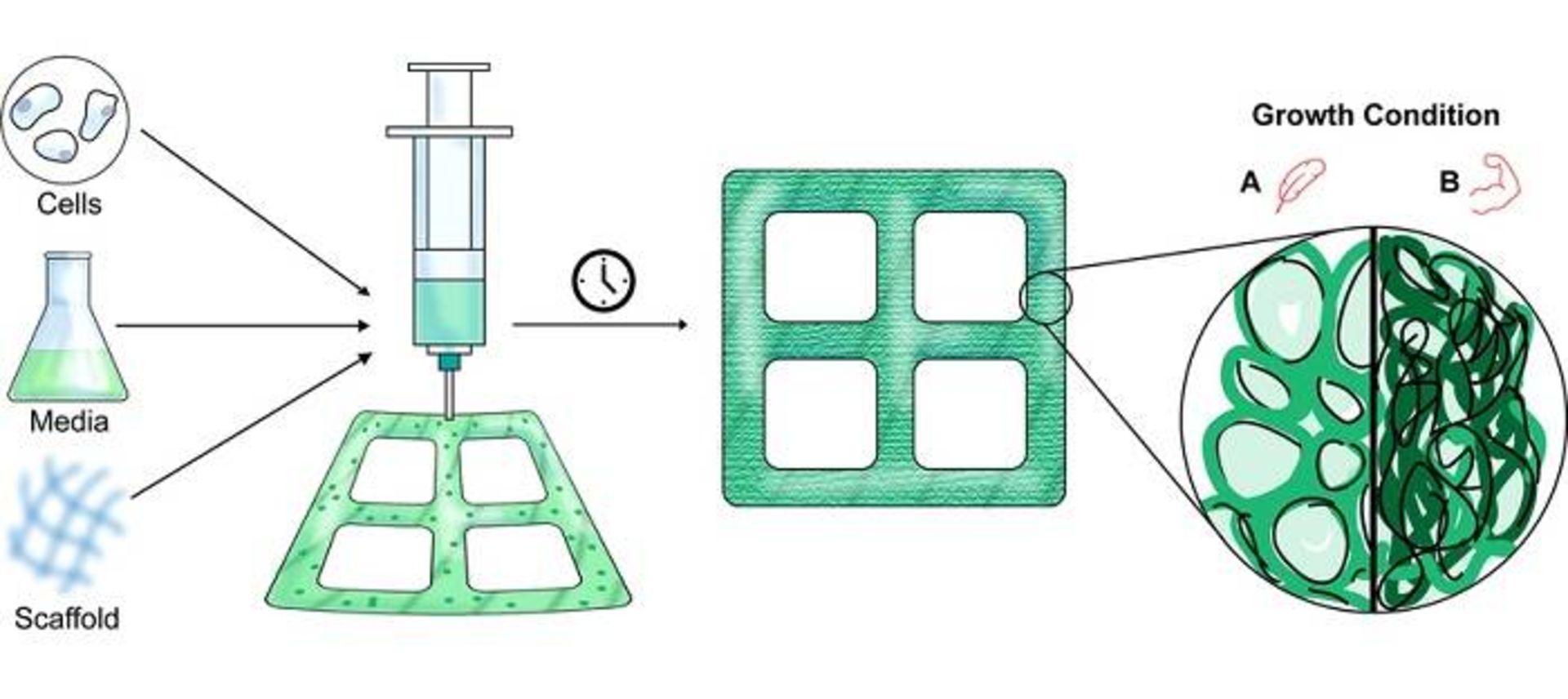 روش تولید مواد گیاهی در آزمایشگاه / lab grown plant