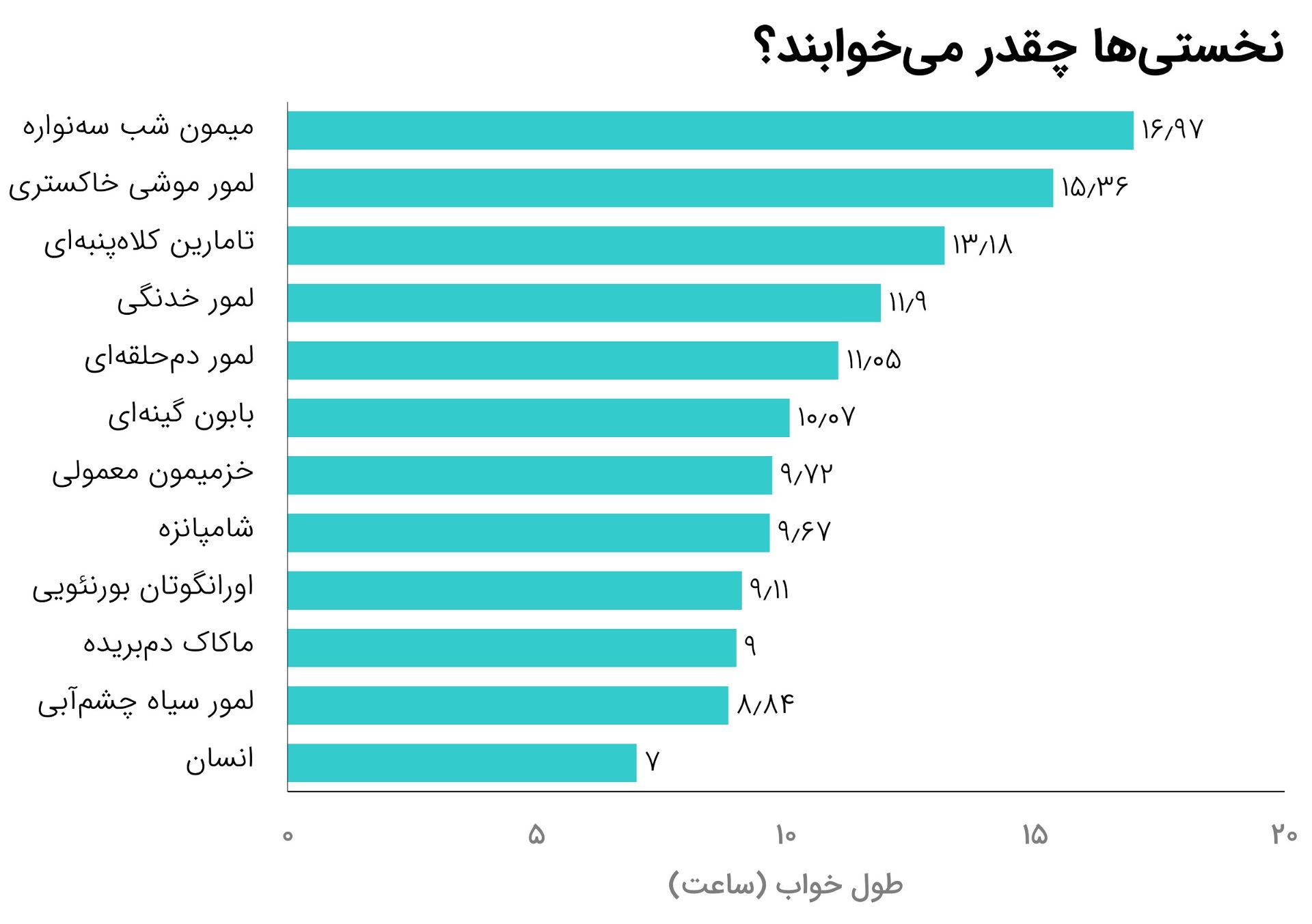 مقایسه طول خواب نخستی‌ها