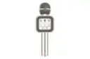 اسپیکر پرووان ProOne PBM02 Series PBM66 نقره ای
