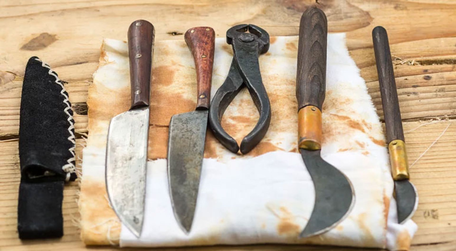 درمان پوسیدگی دندان و التهاب لثه