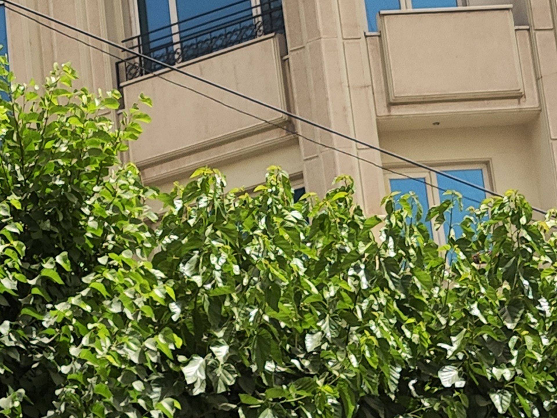 کراپ عکس دوربین تله‌فوتو شیائومی ۱۲ پرو