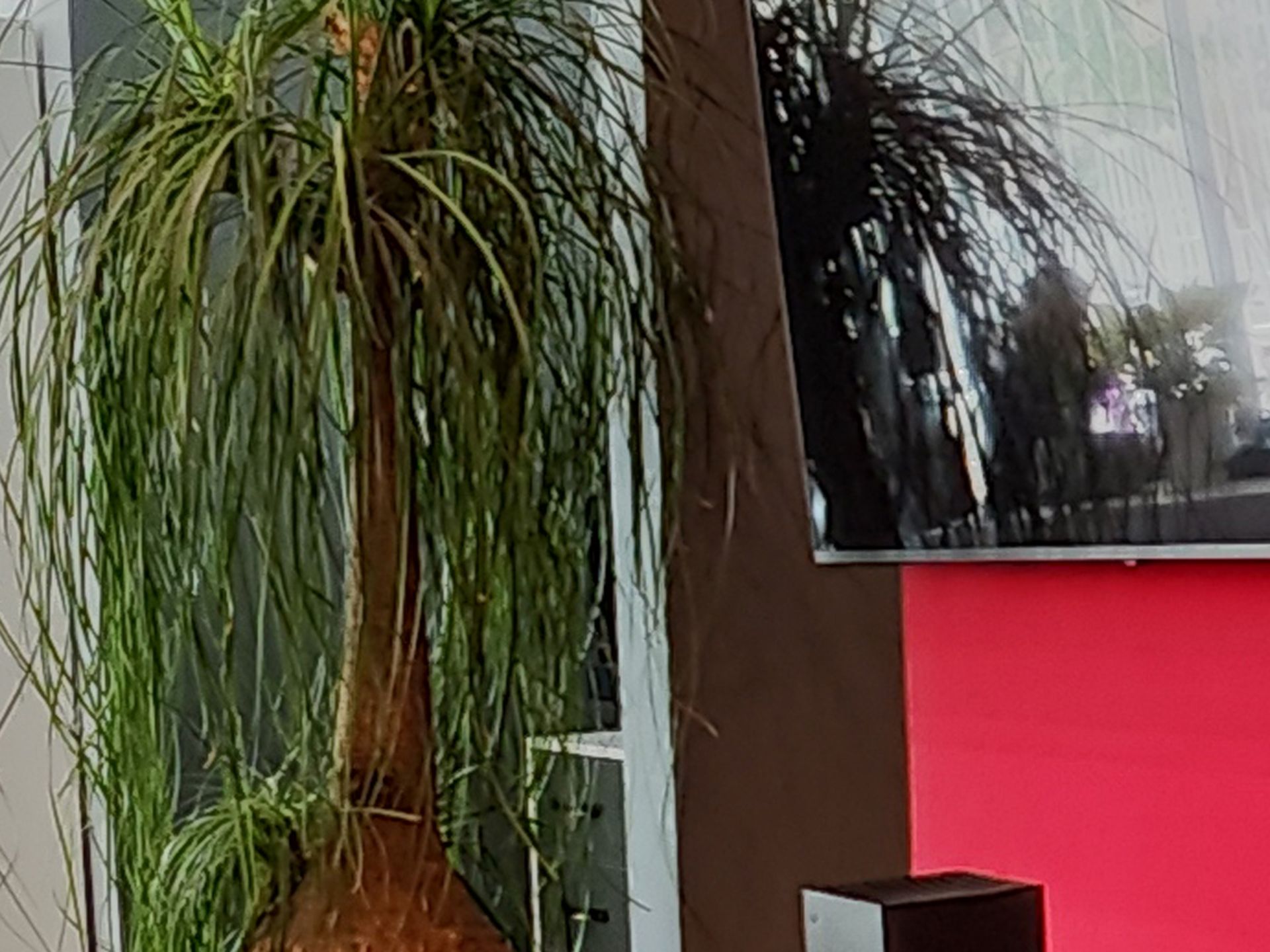 کراپ عکس اچ‌دی‌آر دوربین اولتراواید شیائومی ۱۲ پرو