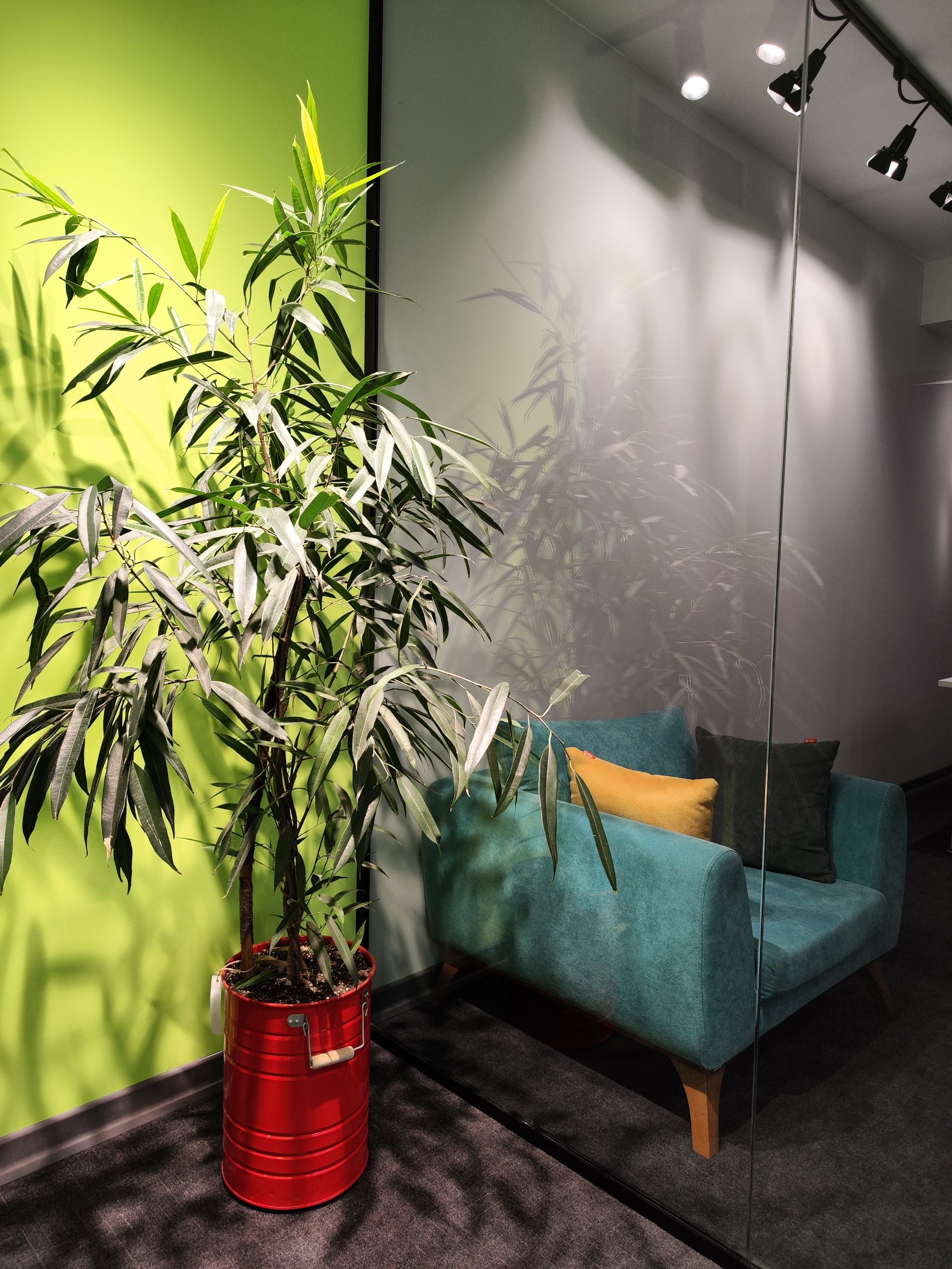 عکس دوربین اصلی شیائومی ۱۲ پرو