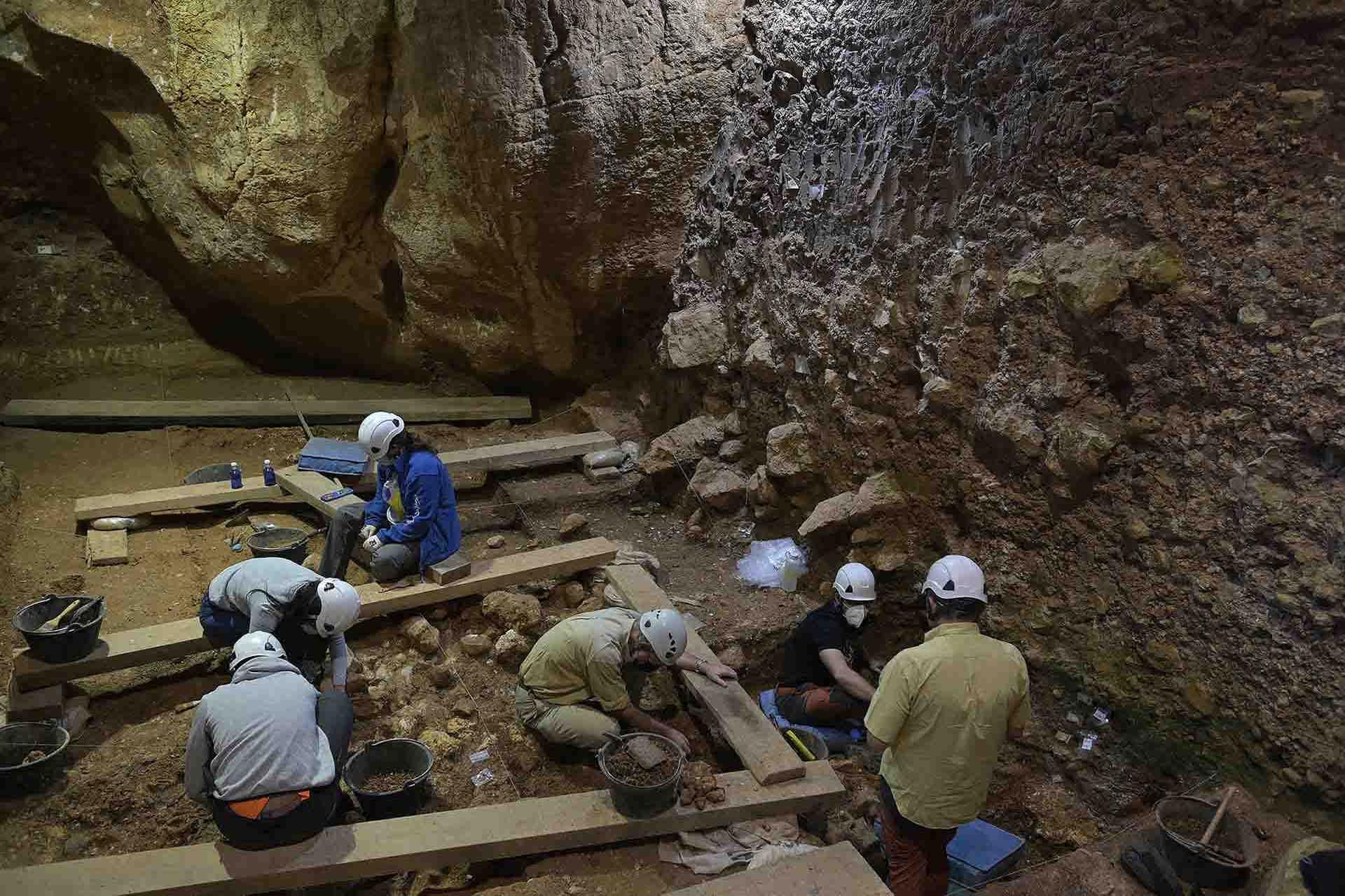 استخوان فک ۱٫۴ میلیون ساله متعلق به قدیمی‌ترین خویشاوند انسان‌ها در اروپا است