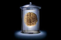 قطع ارتباط مغز با جهان؛ آیا ایده مغز درون خمره به واقعیت می‌پیوندد؟