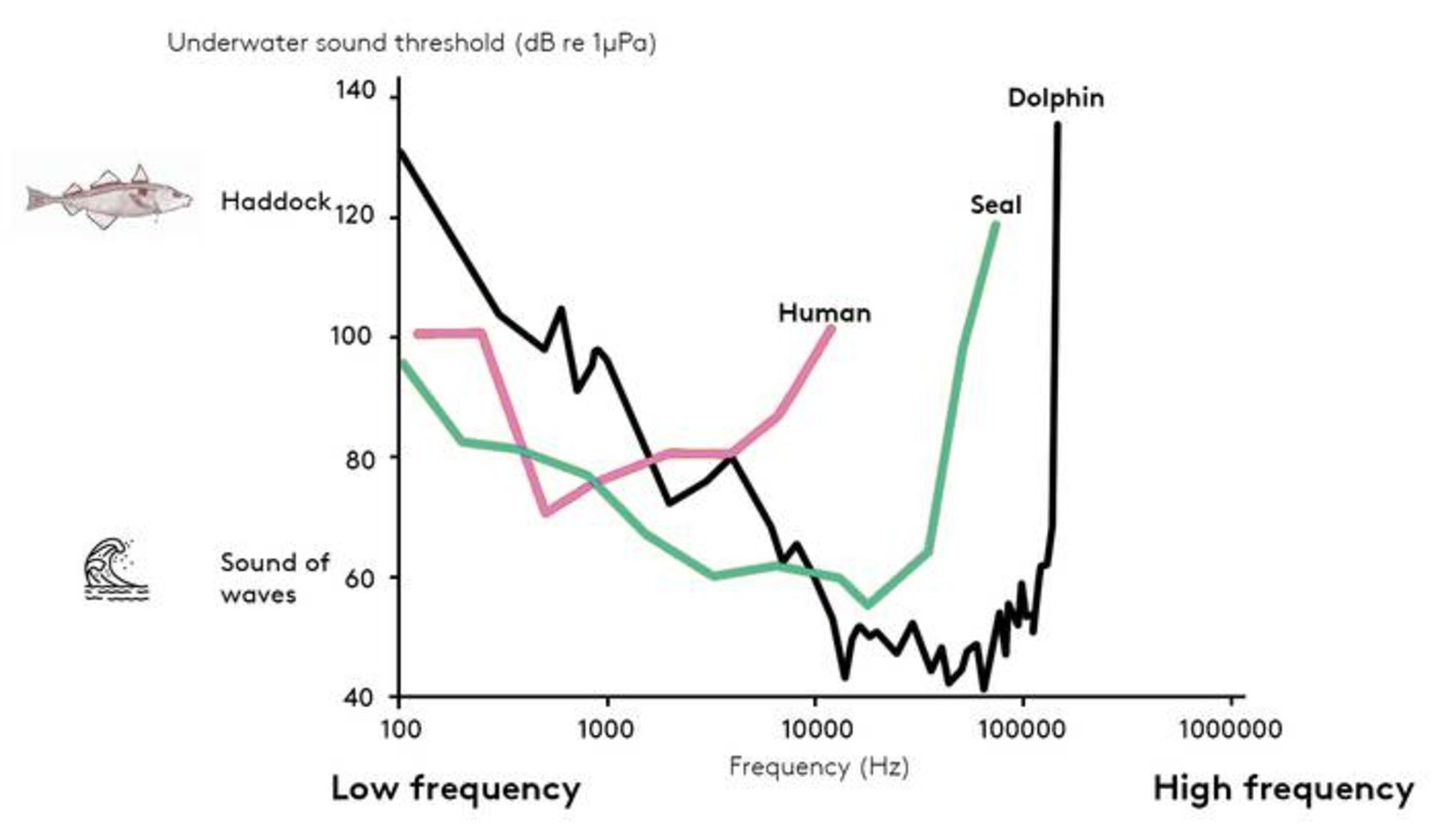 مقایسه شنوایی / comparing hearing 