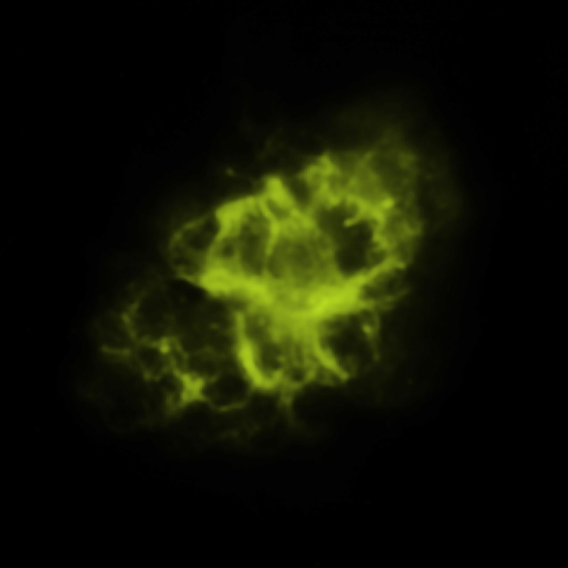 سحابی خرچنگ در نور فروسرخ (تلسکوپ فضایی اسپیتزر)