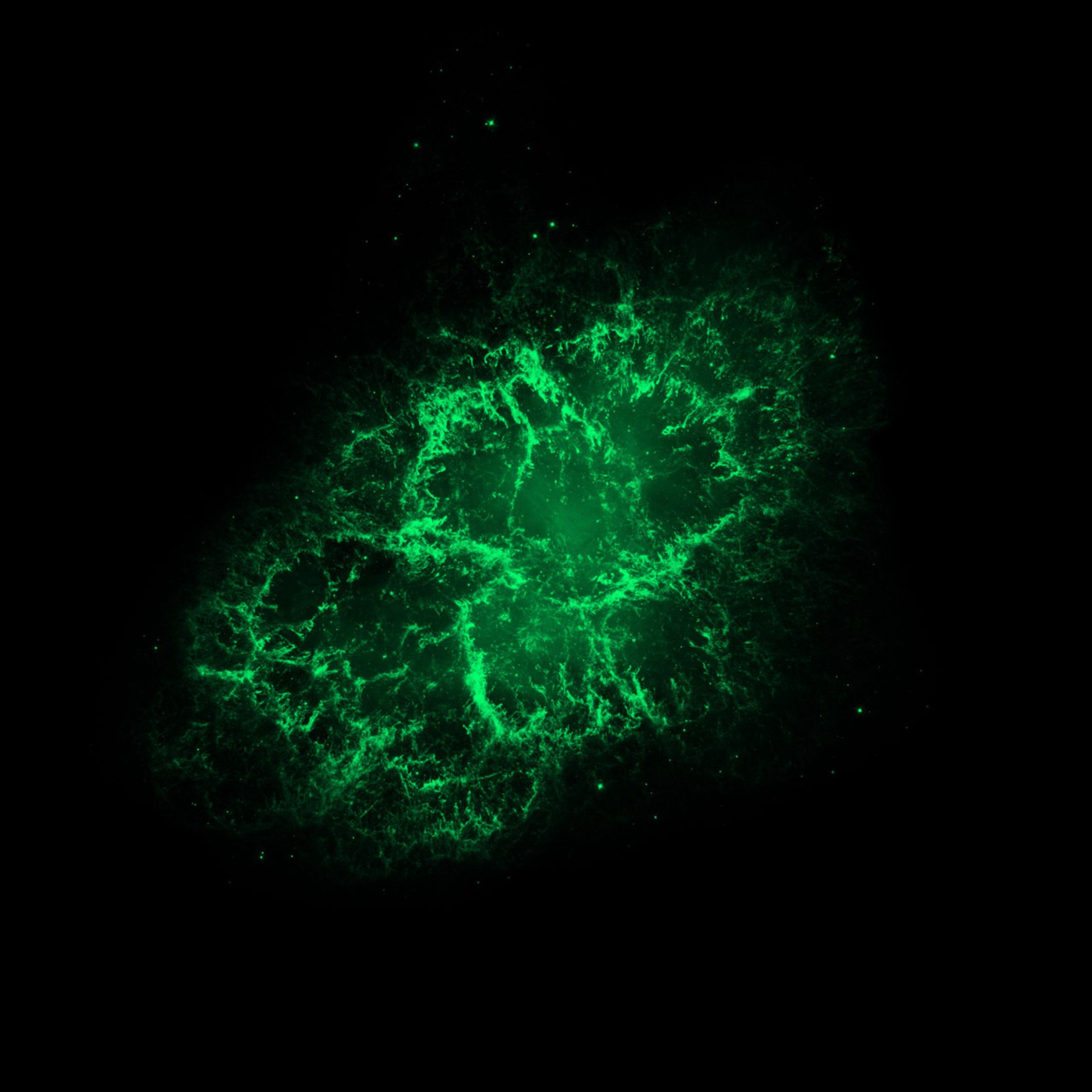 سحابی خرچنگ در نور مرئی (تلسکوپ فضایی هابل)