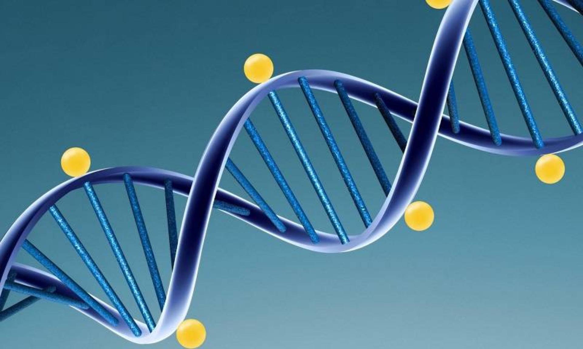 دی ان ای / DNA