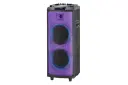 اسپیکر مکسیدر Maxeeder MX-DJ2101 CN1001