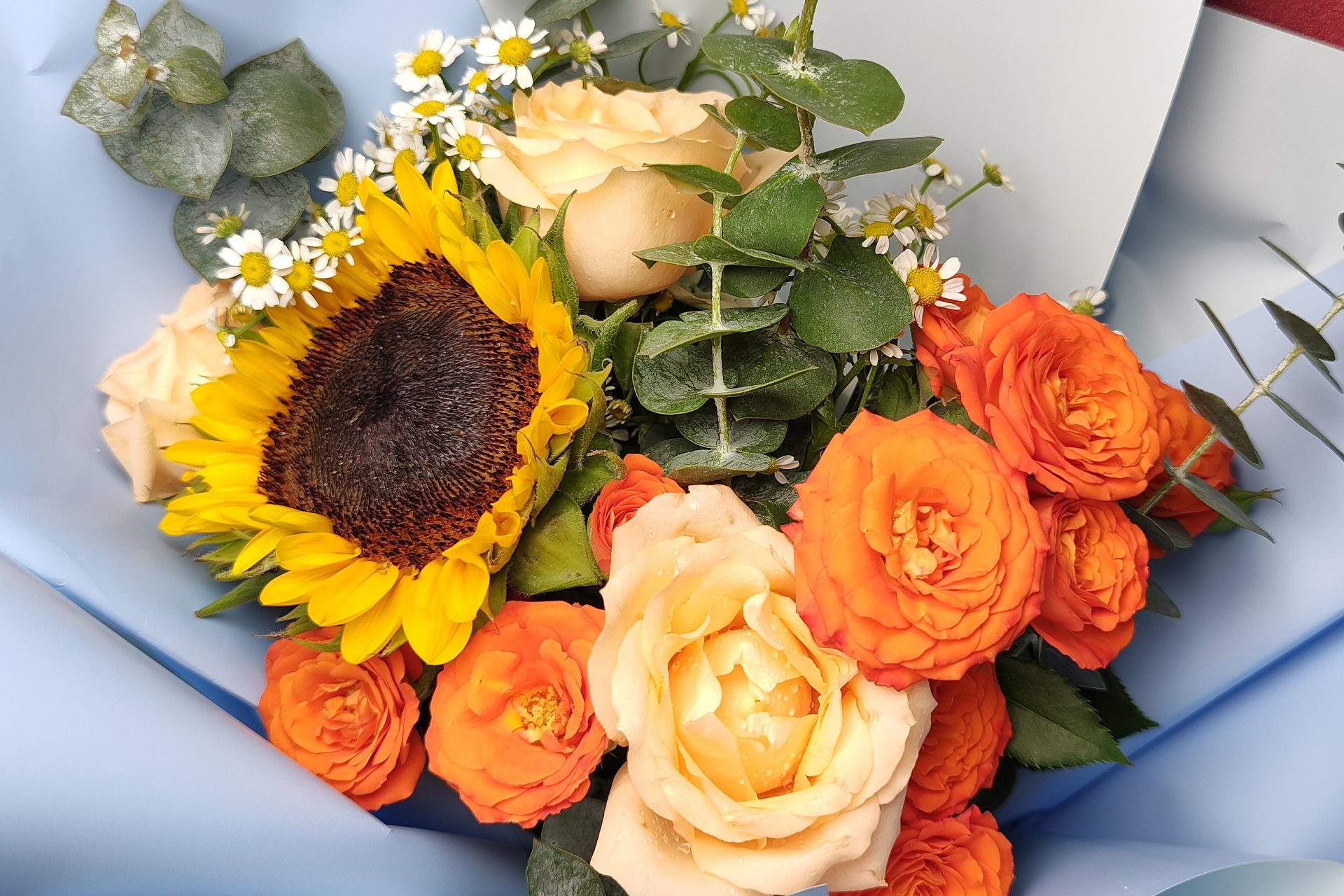 گل های رنگی اولین نمونه عکس دوربین ۲۰۰ مگاپیکسلی موتورولا Moto Edge 30 Ultra - کراپ شده