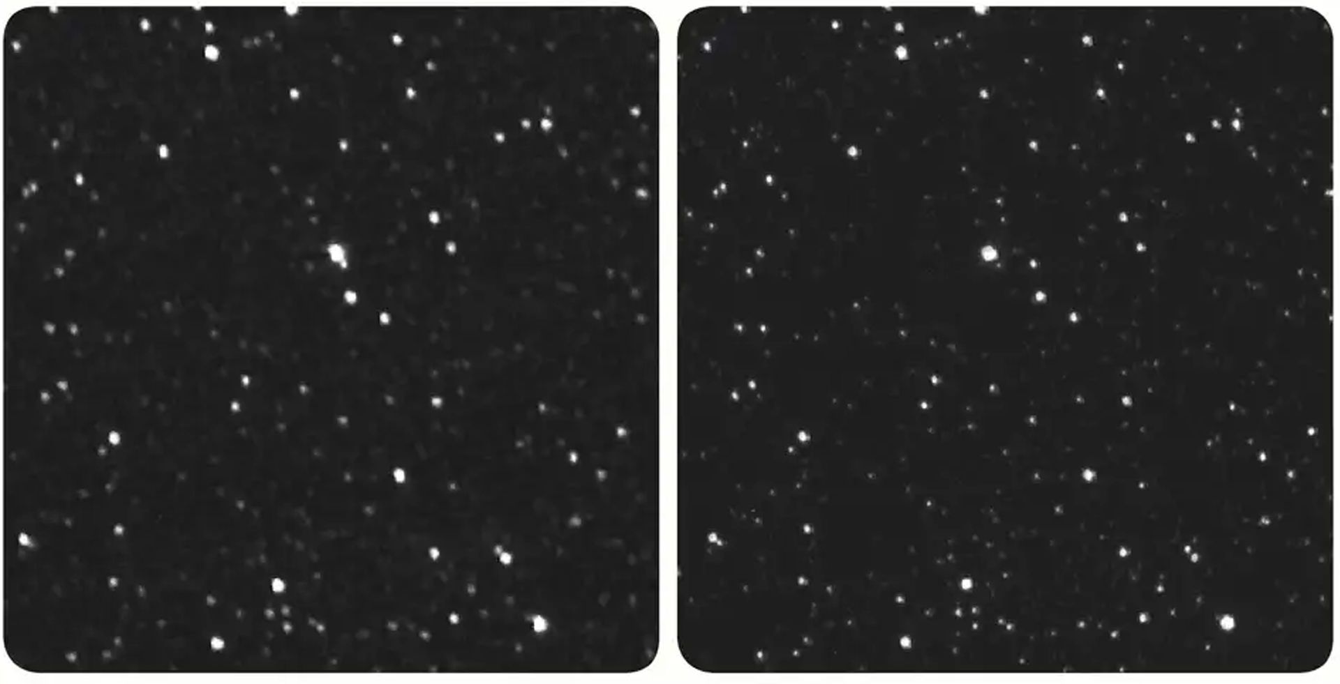 دو نمای متفاوت از پروکسیما قنطورس از زمین و فضاپیما نیو هورایزنز ناسا
