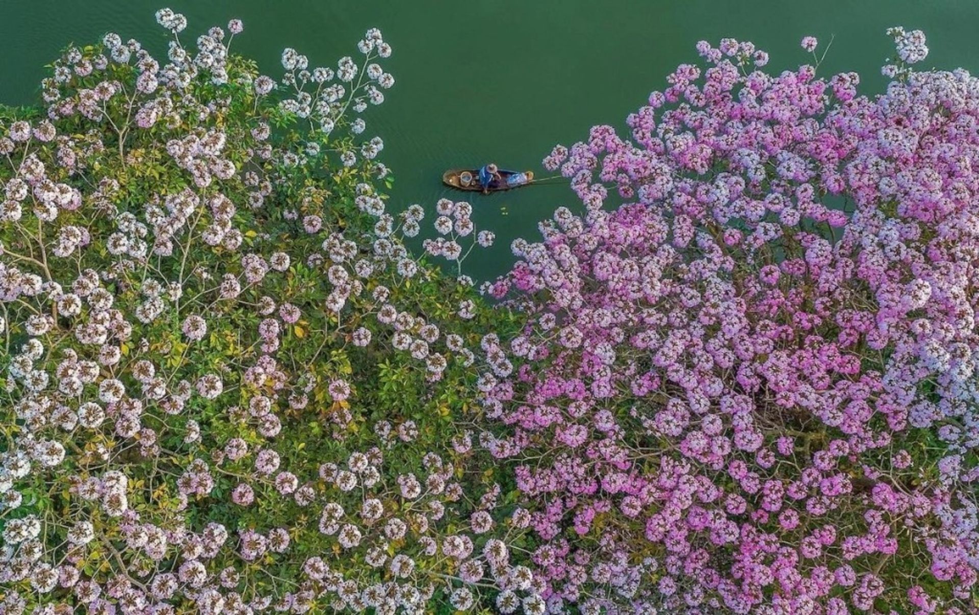 عکس‌های هوایی از مناظر سرسبز ویتنام