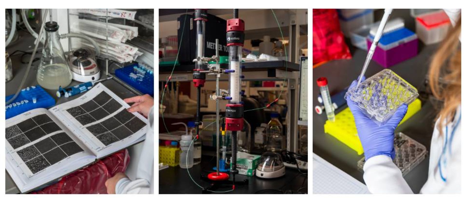 اسکن مغز موش و ابزار خالص سازی پروتئین / protein purification instruments