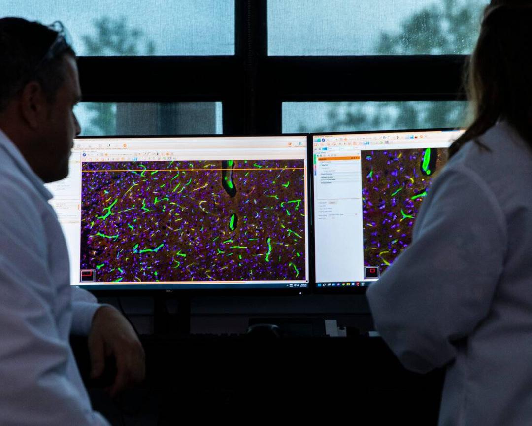 دانشمندان در آزمایشگاه شرکت الیوین / Scientists