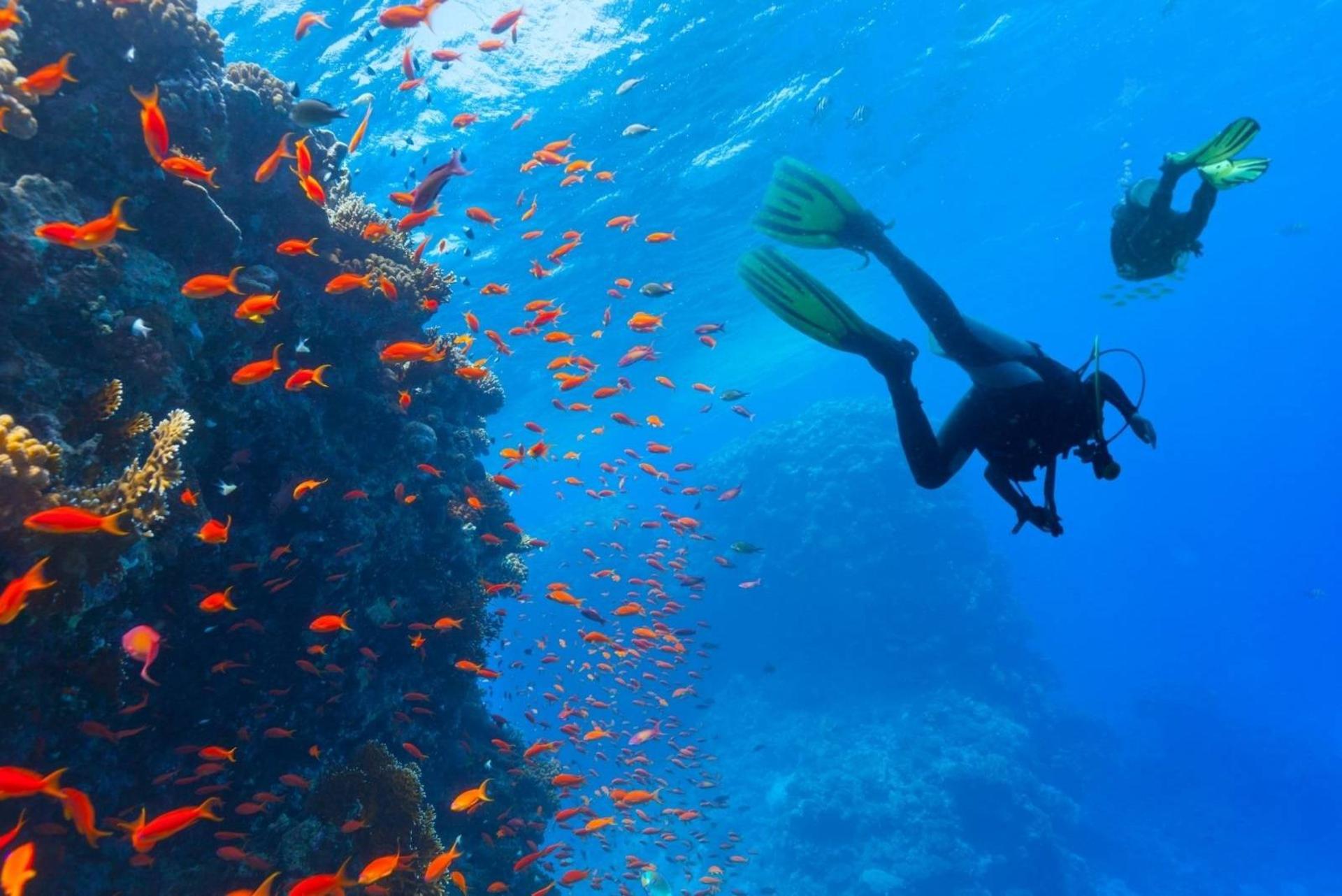 شنوایی انسان در زیر آب بهتر از چیزی است که قبلاً تصور می‌شد