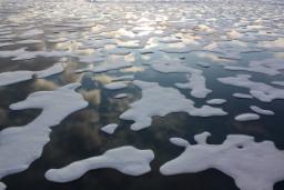گرمایش قطب شمال سریع‌تر از حدی است که تحلیل‌ها نشان می‌دهند